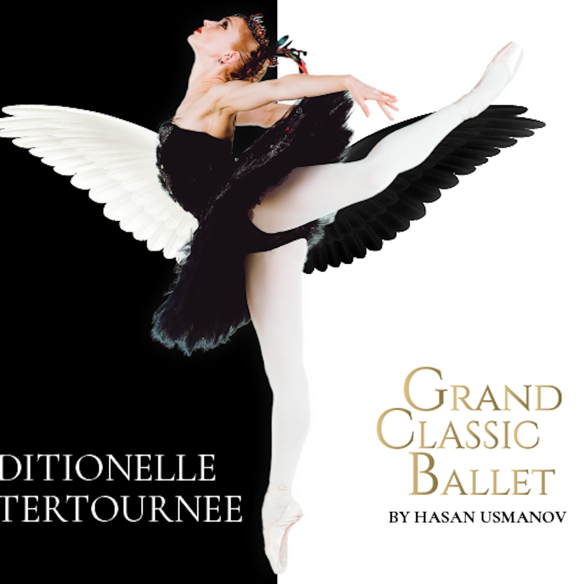 Schwanensee Ballett Berlin 2024 Weihnachten | Tickets!