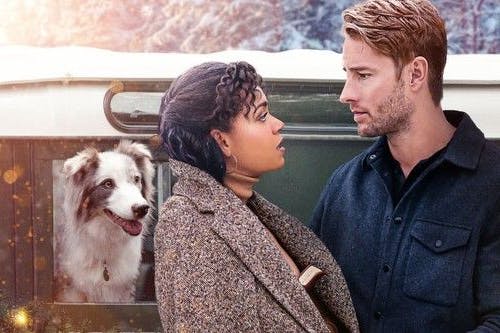 Hier riecht nicht nur der Hund den Braten. 