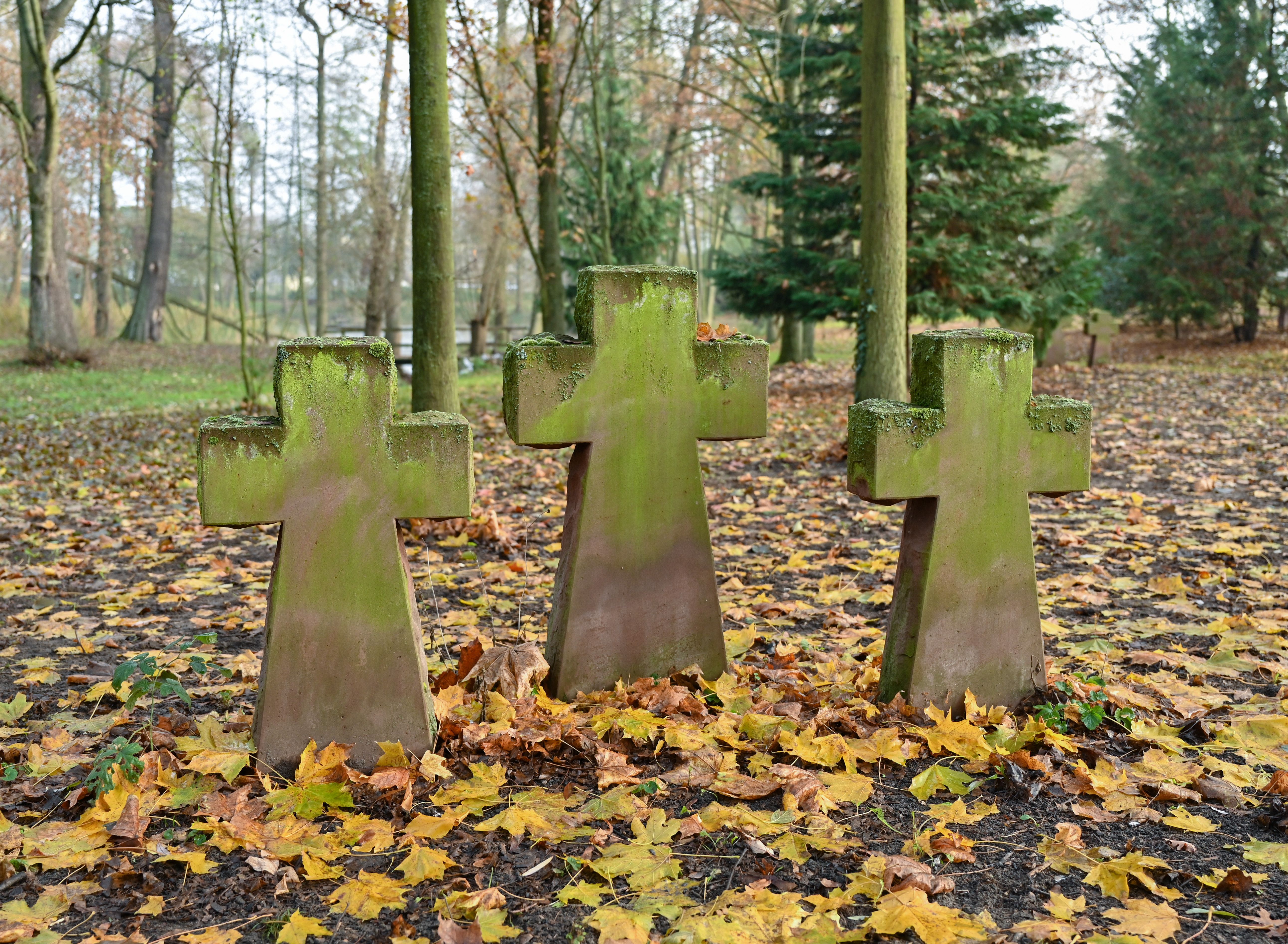 Image - Noch tausende unentdeckte tote Kriegsheimkehrer in Frankfurt (Oder) vermutet