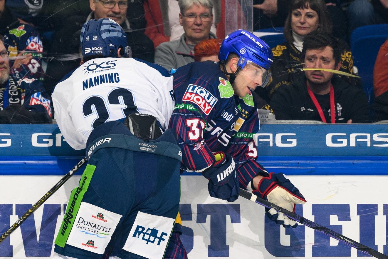 So wie Brandon Manning Eisbär Yannick Veilleux an die Bande nagelt, hämmern die Straubing Tigers den Meister im Tabellenkeller fest.