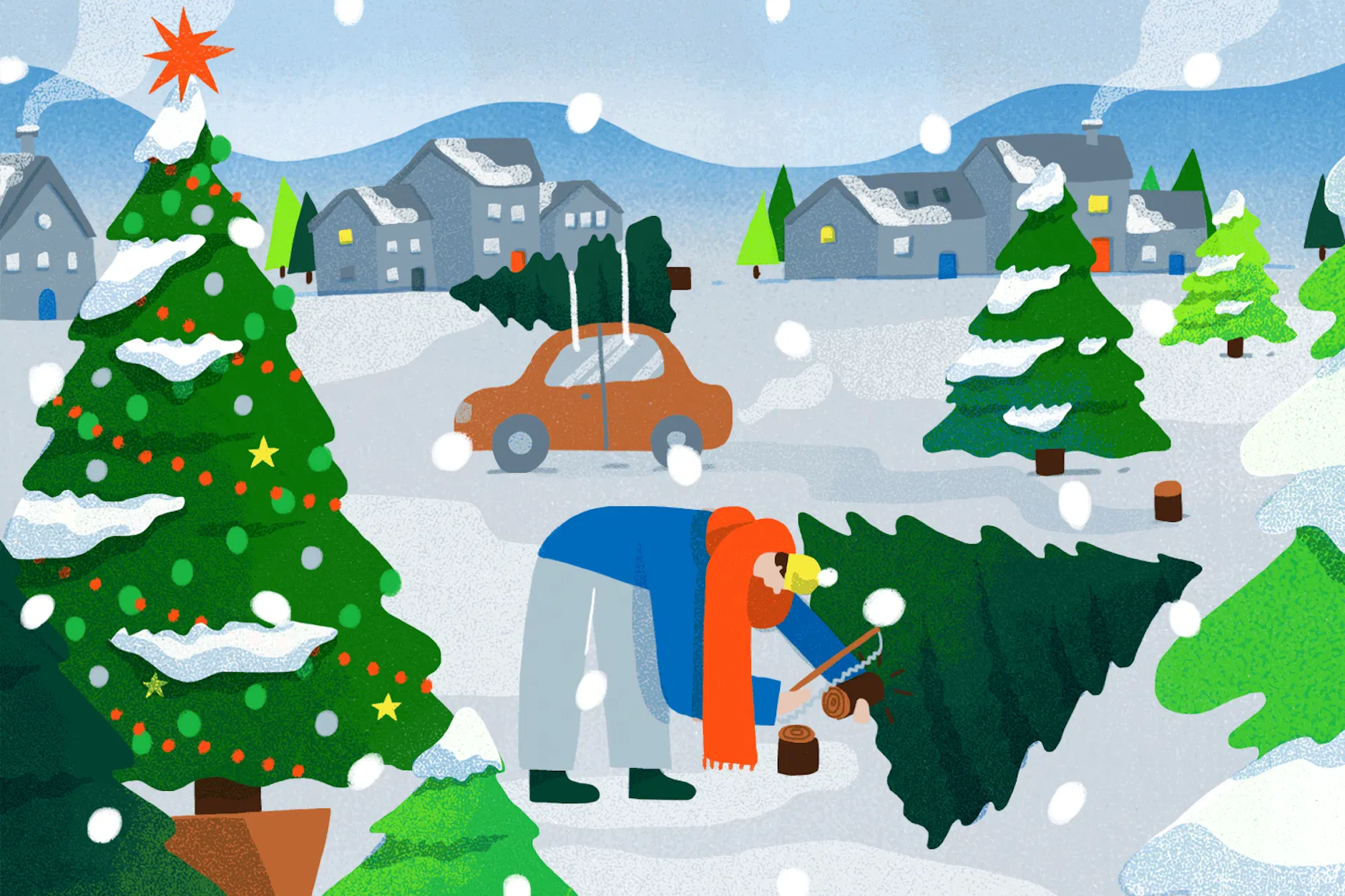 Immer mehr Menschen schlagen ihren Weihnachtsbaum selbst.