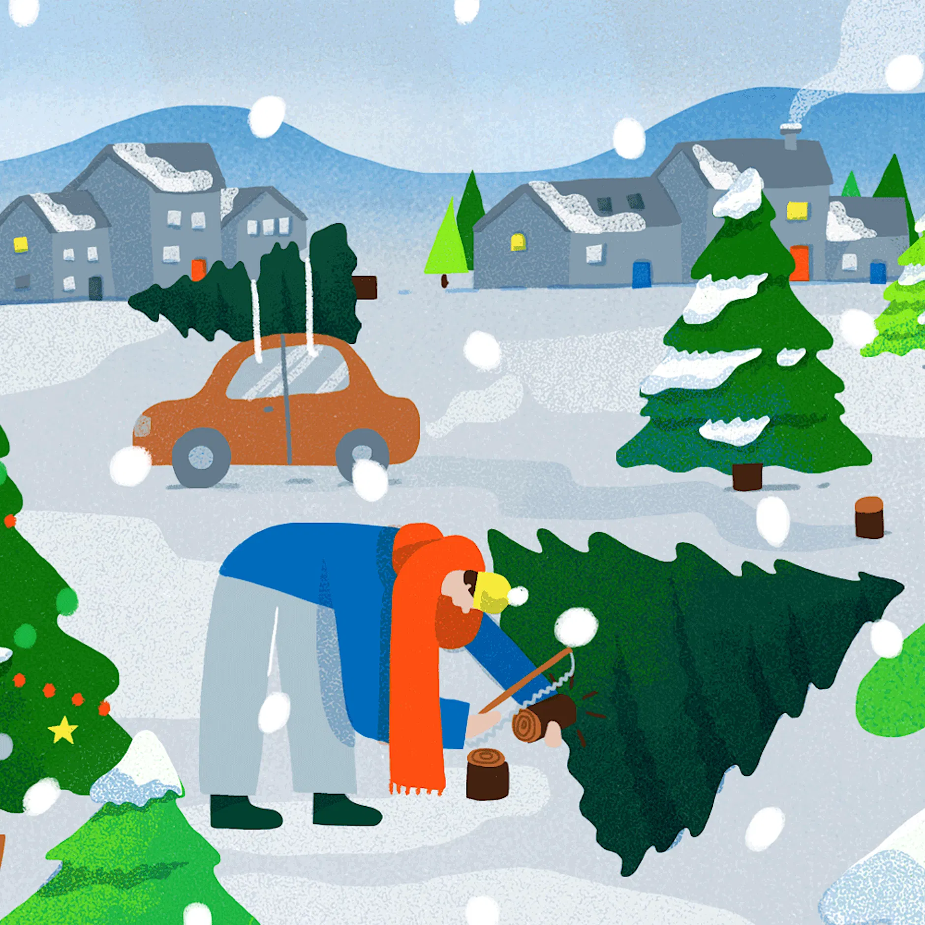 Kunsttanne oder echte Kiefer? „Es ist nicht nötig, auf den Weihnachtsbaum zu verzichten“