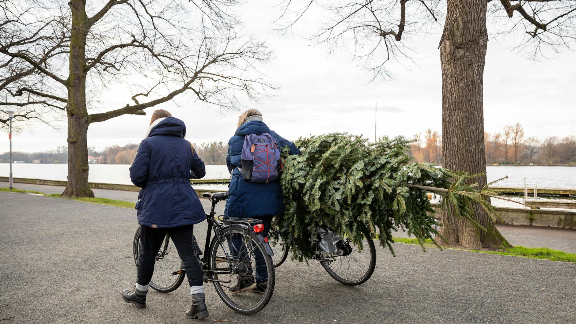 Jetzt schon einen Weihnachtsbaum kaufen? Undenkbar. 