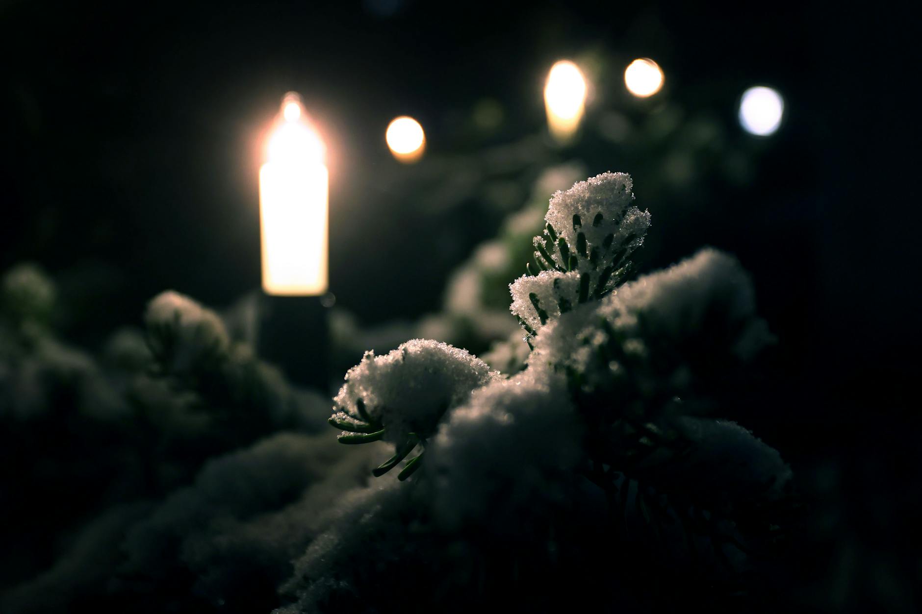 Mit Schnee bedeckt sind die Zweige dieses mit Lichtern geschmückten Christbaumes.