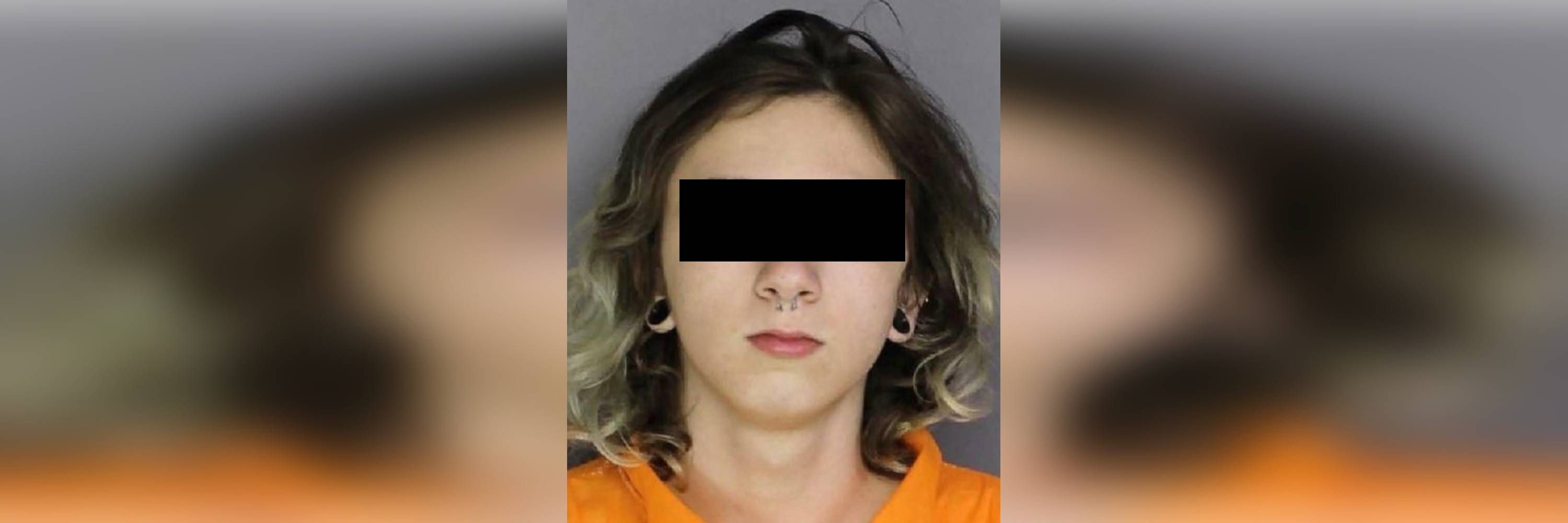 Killer-Teenager (16) fragt bei Instagram: „Wie wird man eine Leiche los?“ – Festnahme!