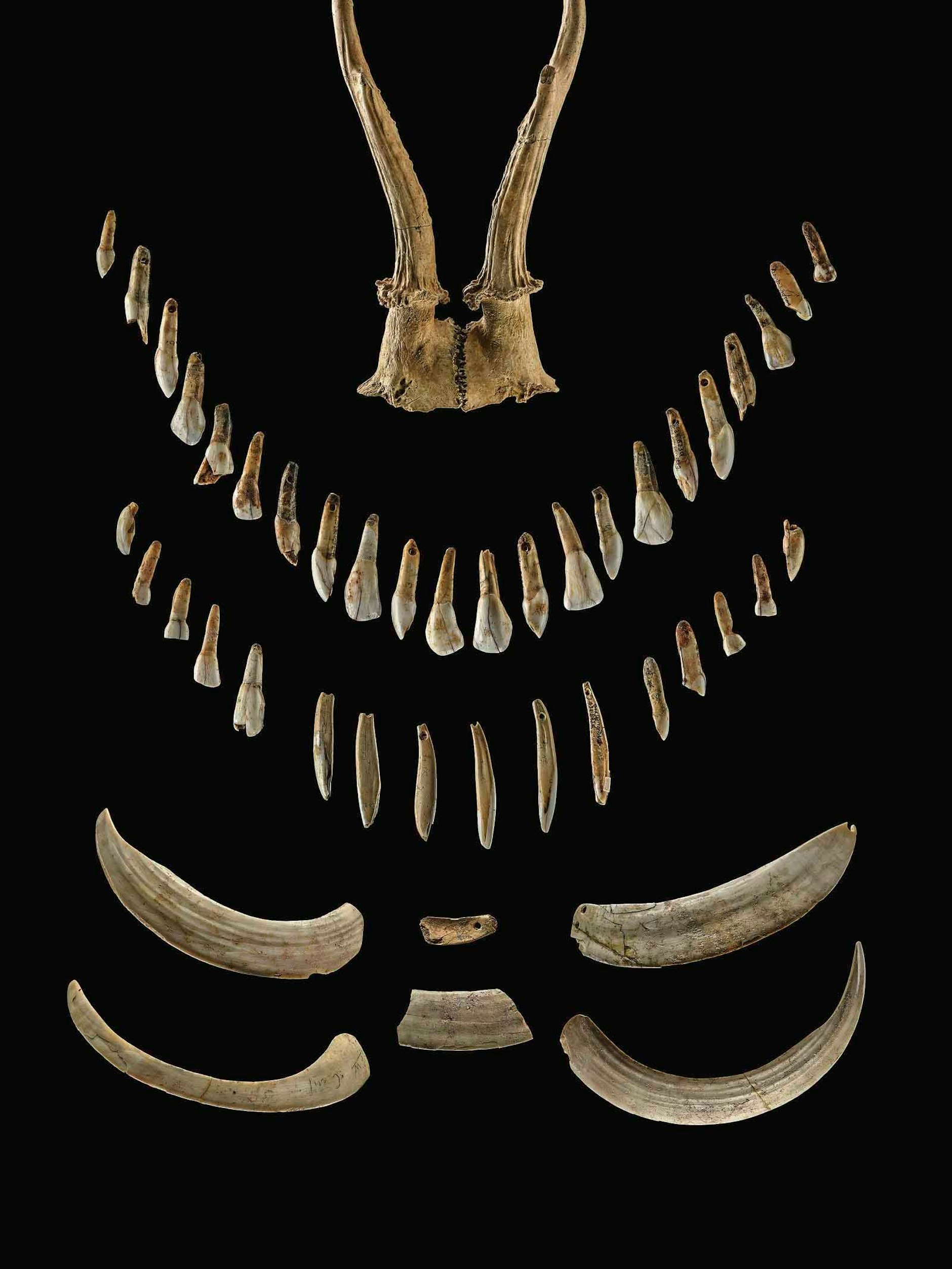 Bestandteile des Ornats, wie im Grab aufgefunden. Insgesamt enthielt das überaus ungewöhnliche Grab 52 Geräte (wie ein Steinbeil), Panzerbruchstücke von Schildkröten, 69 Schmuckelemente wie Zähne von Wildschwein und Hirsch, Feuersteinschneiden in einem Kranichknochen, einen Rötelstein usf.