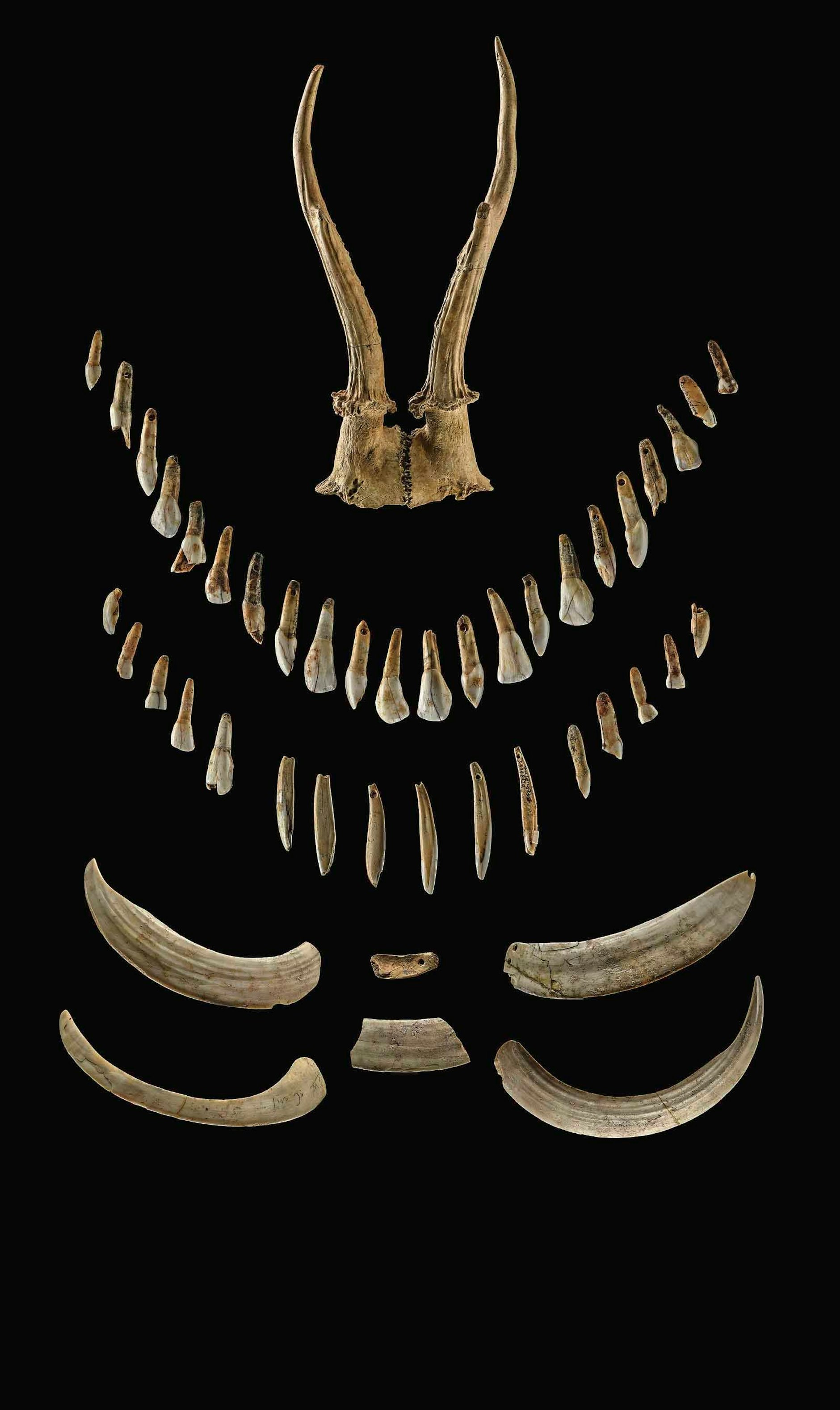 Die Wahrheit über die „nordische Rasse“ Dunkle Haut und blaue Augen