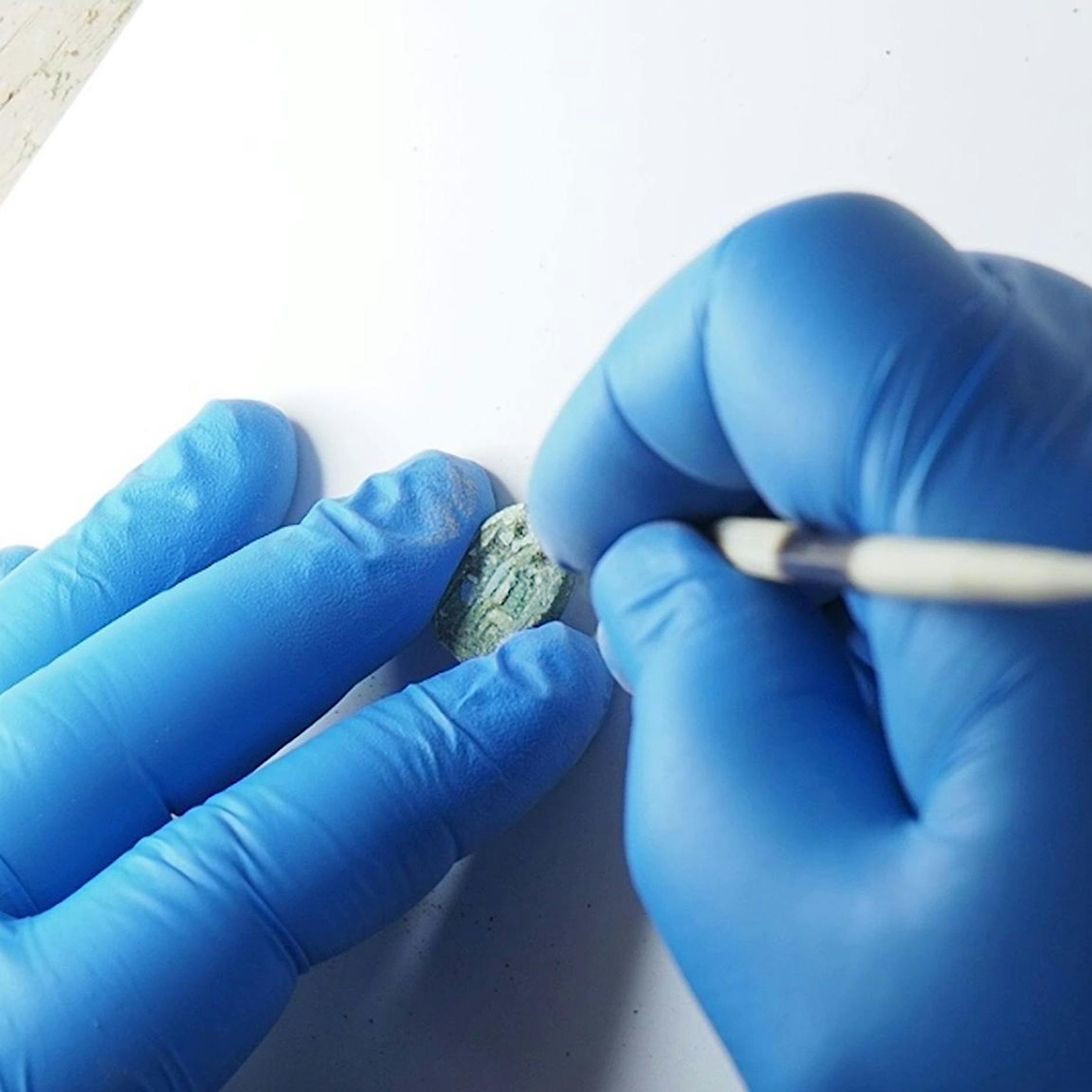 Klassenfahrt in Israel: 3000 Jahre alter Skarabäus entdeckt