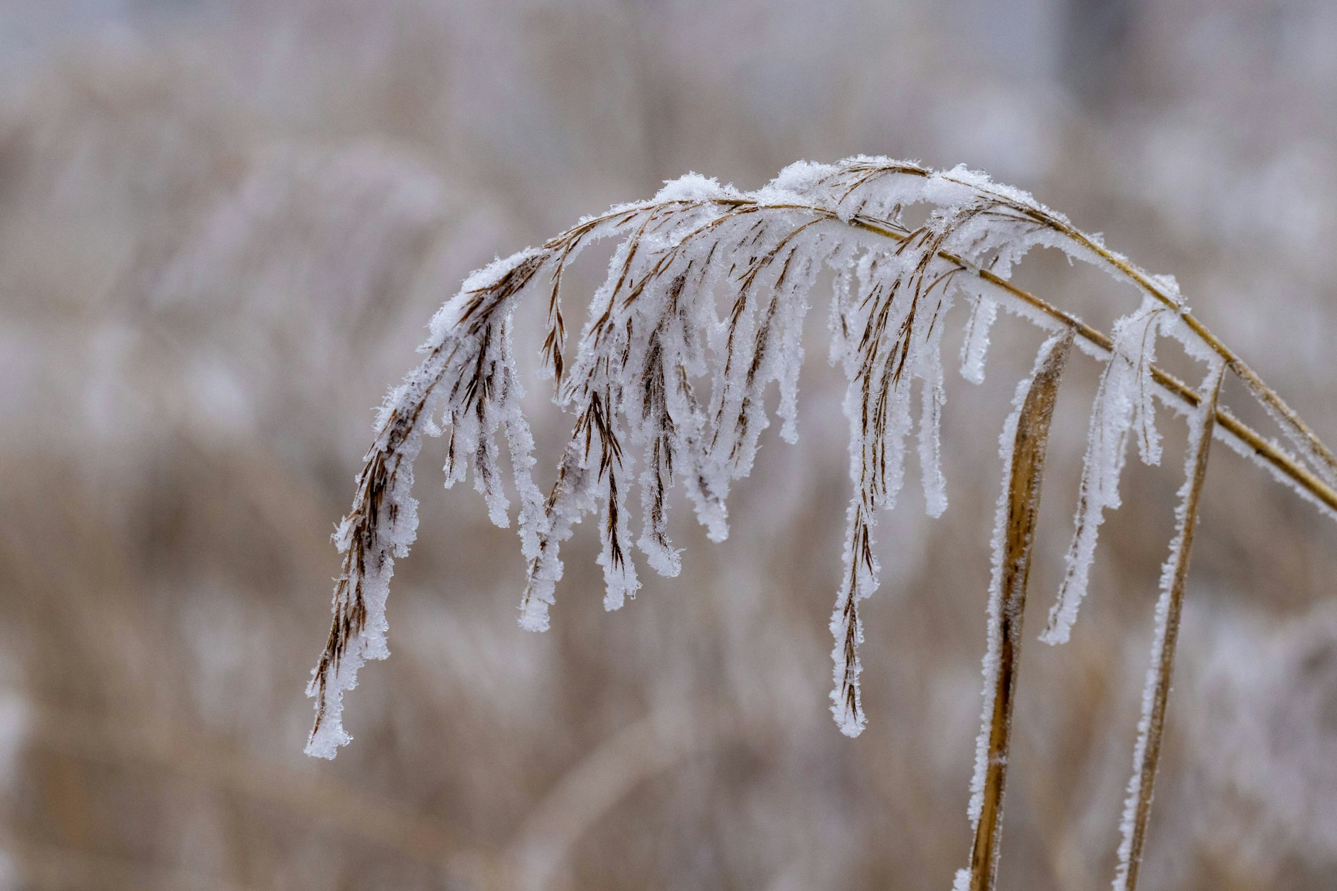 Es wird eiskalt in Deutschland.