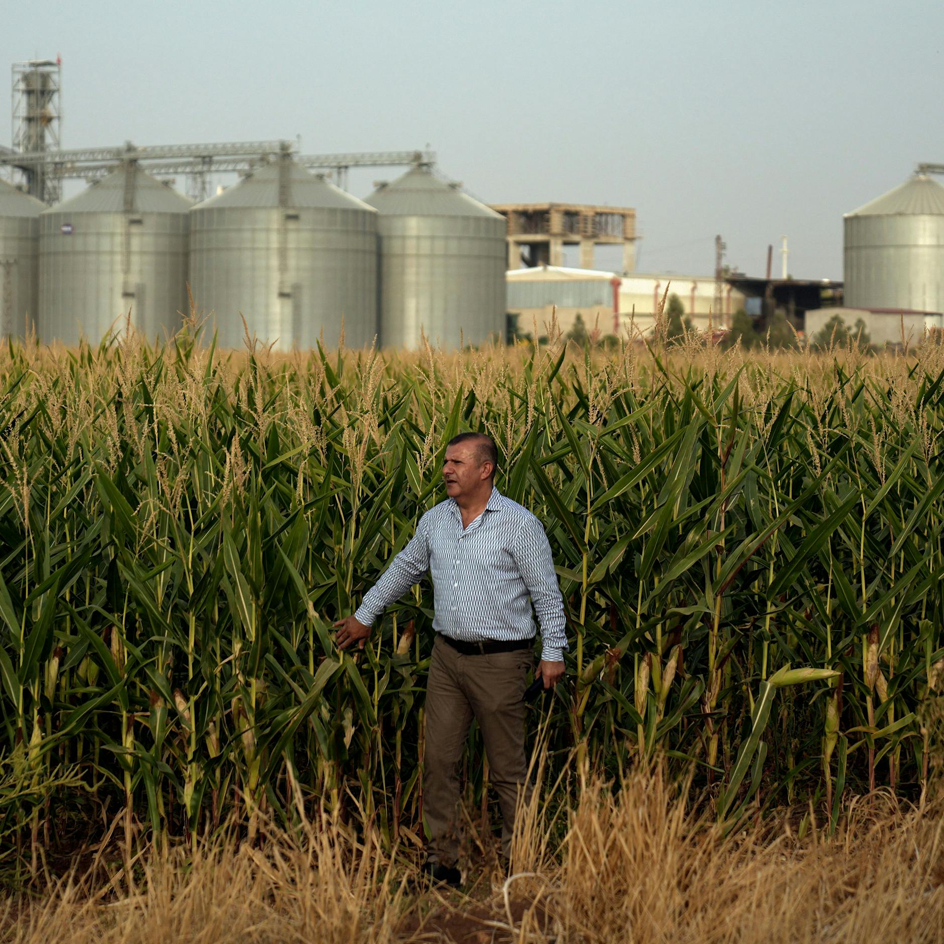 Der große Streit ums Wasser: Türkei staut, der Irak vertrocknet