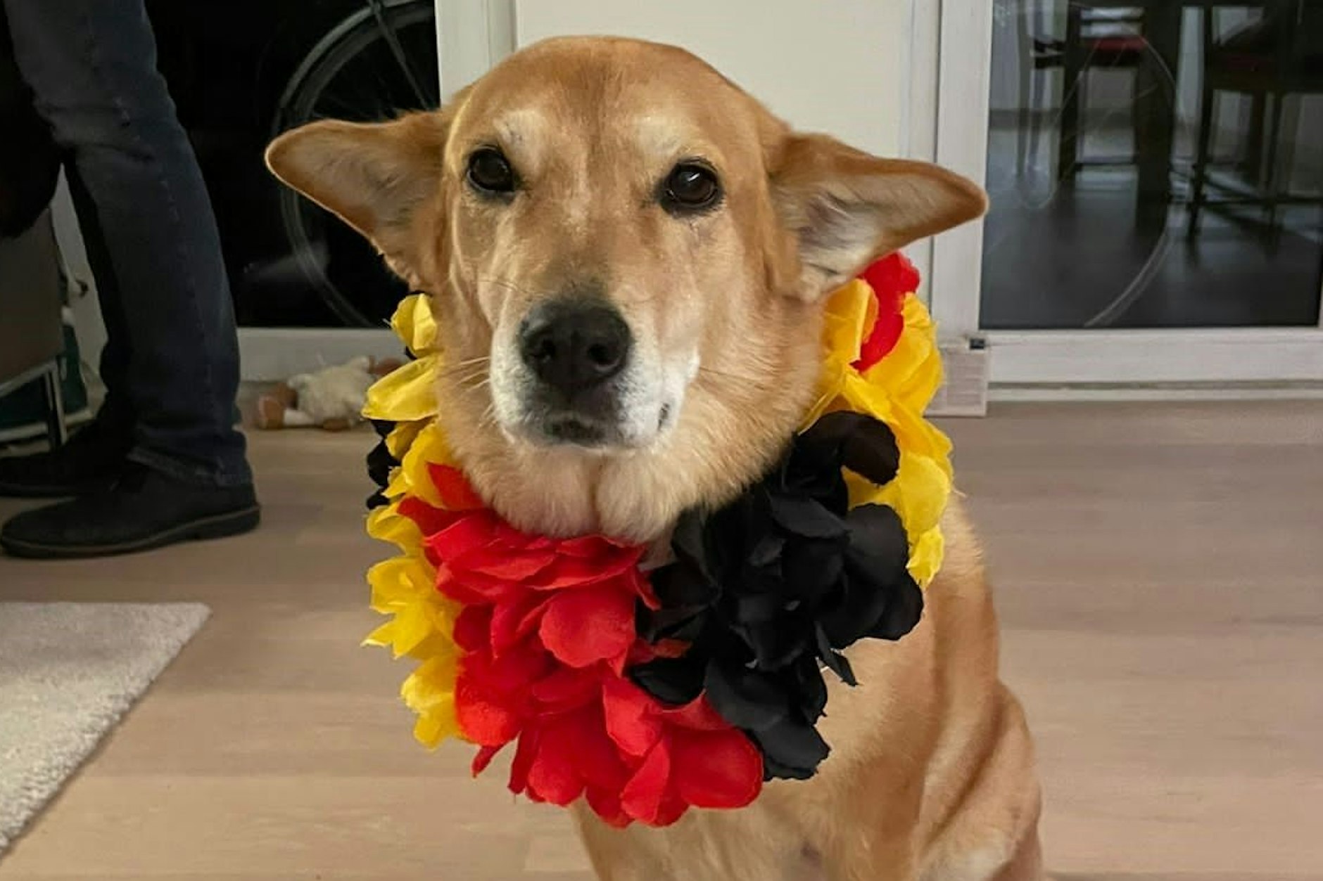 Da gab es noch Hoffnung, dass es die DFB-Elf schafft. Auch wenn Lisa trotz Deutschland-Kette nicht sehr zuversichtlich aussieht.