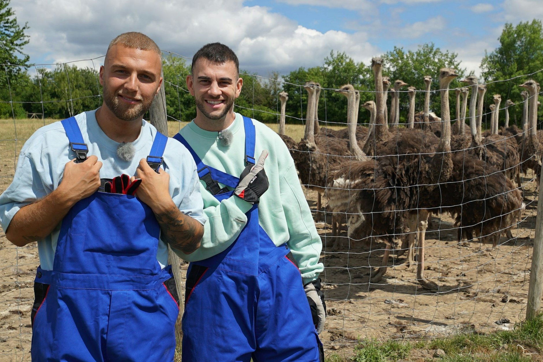 Filip Pavlovic und Serkan Yavuz testen sich als Praktikanten durch 20 verschiedene Jobs.