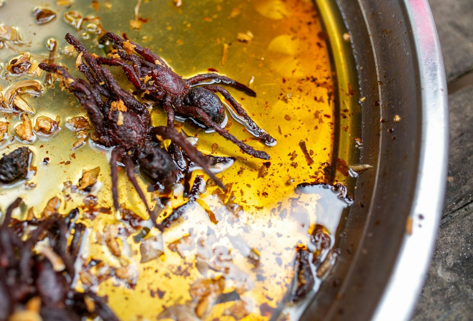 PRODUKTION - Im Zuge des Klimawandels ist das Essen von Insekten und Spinnen Experten zufolge eine gute Alternative zu den hohen CO2-Emissionen der Fleischproduktion.