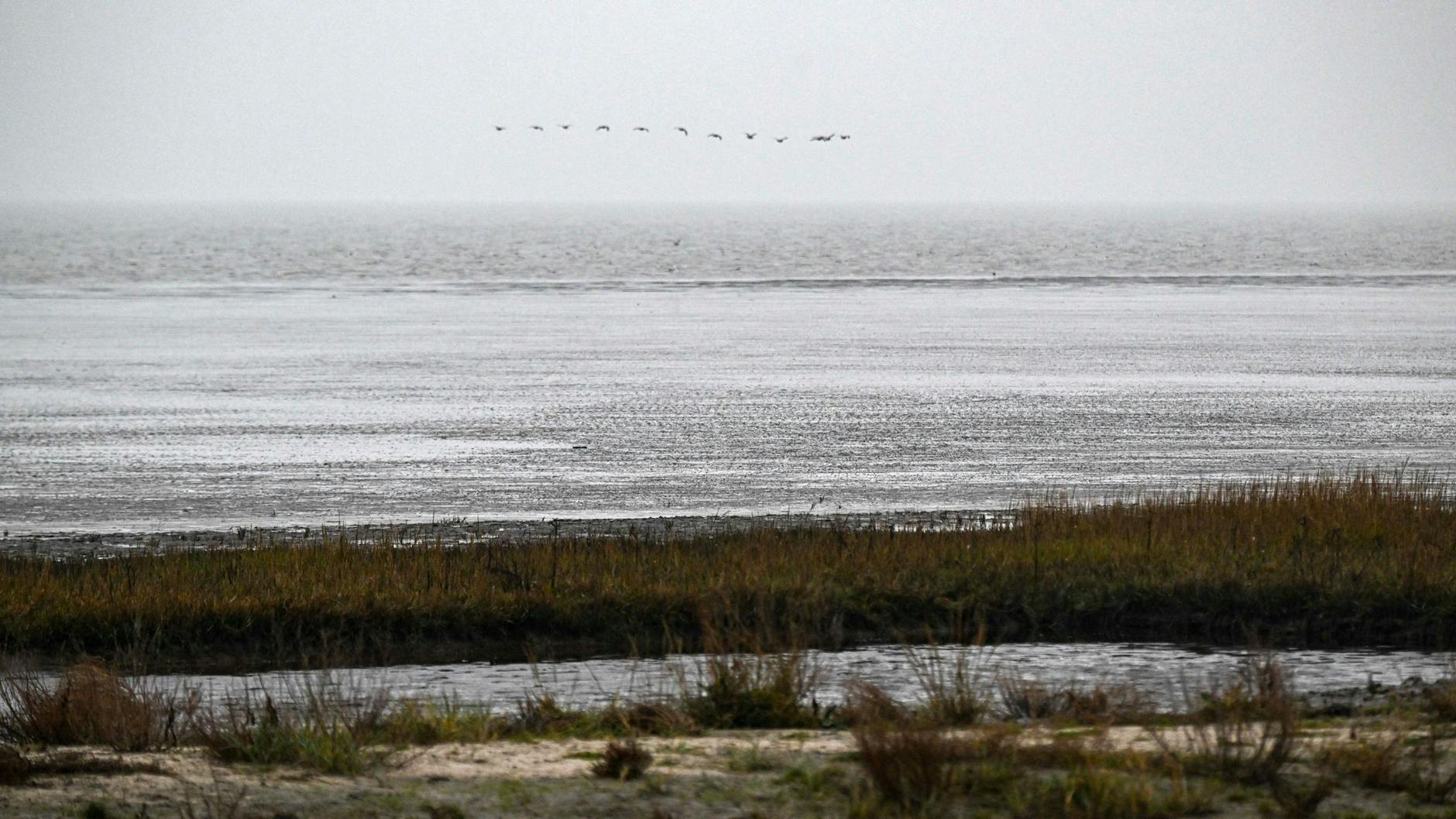 Das Watt vor dem Strand von Dangast in Nidersachsten. Am 01.12.2022 endet die 14. trilaterale Wattenmeerkonferenz von Deutschland, Dänemark und den Niederlanden.