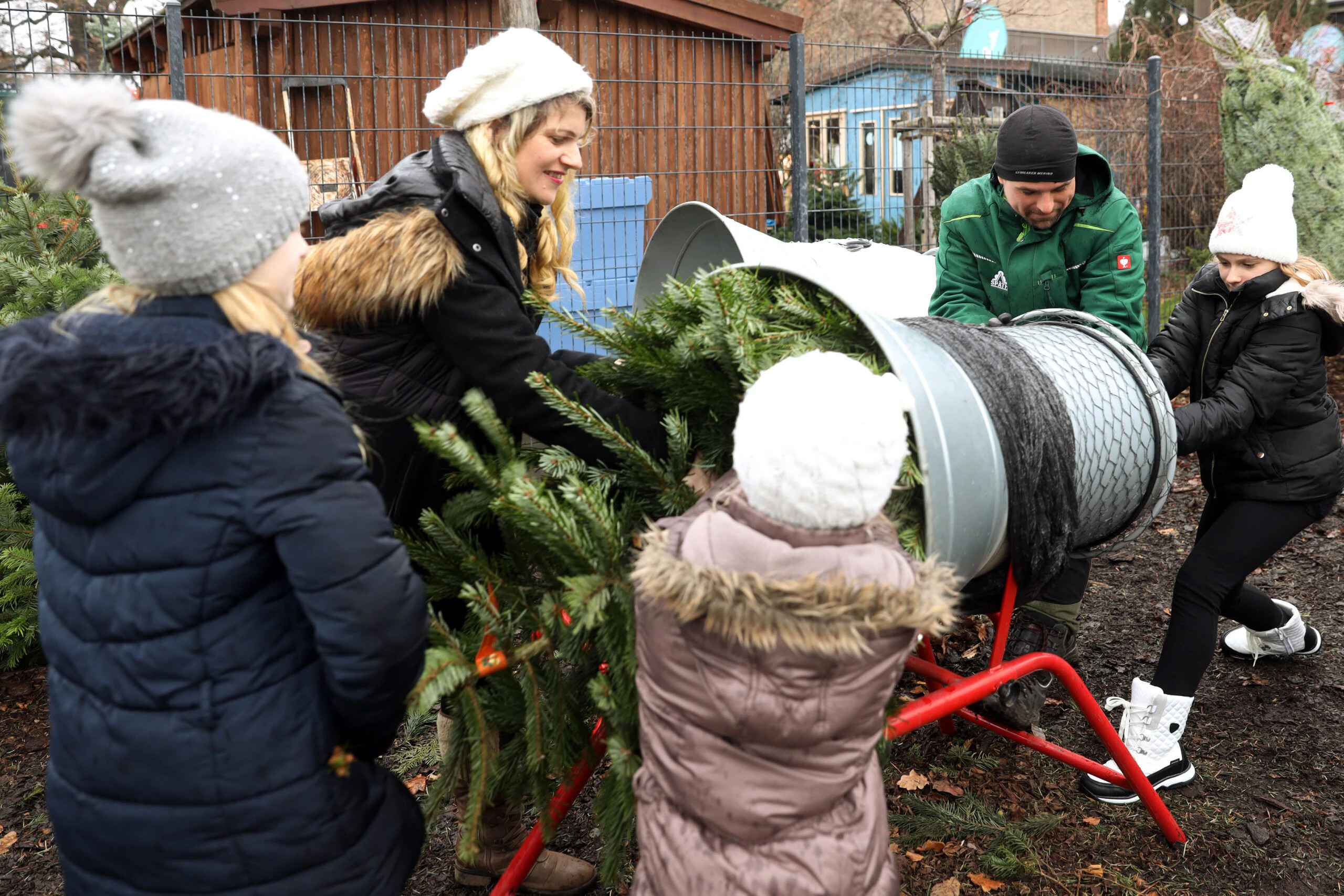 Nordmanntanne, Kiefer, Fichte: In der Baumschule kann man auch gleich einen&nbsp;Weihnachtsbaum aussuchen.