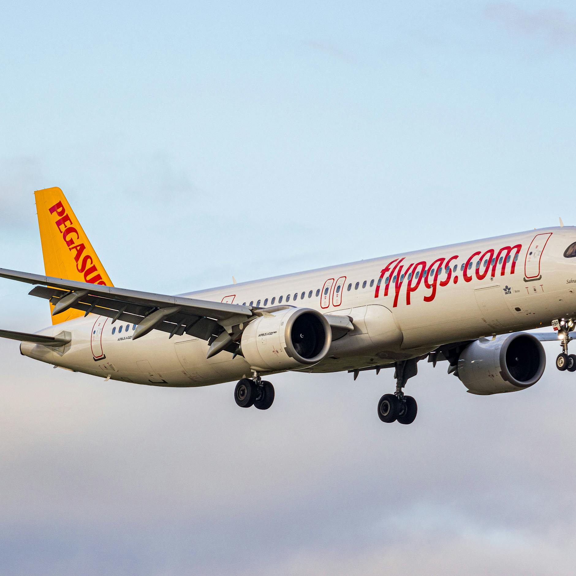 „Notfall“ wegen angeblich geplatzter Fruchtblase: Flieger landet in Barcelona - 28 Passagiere fliehen