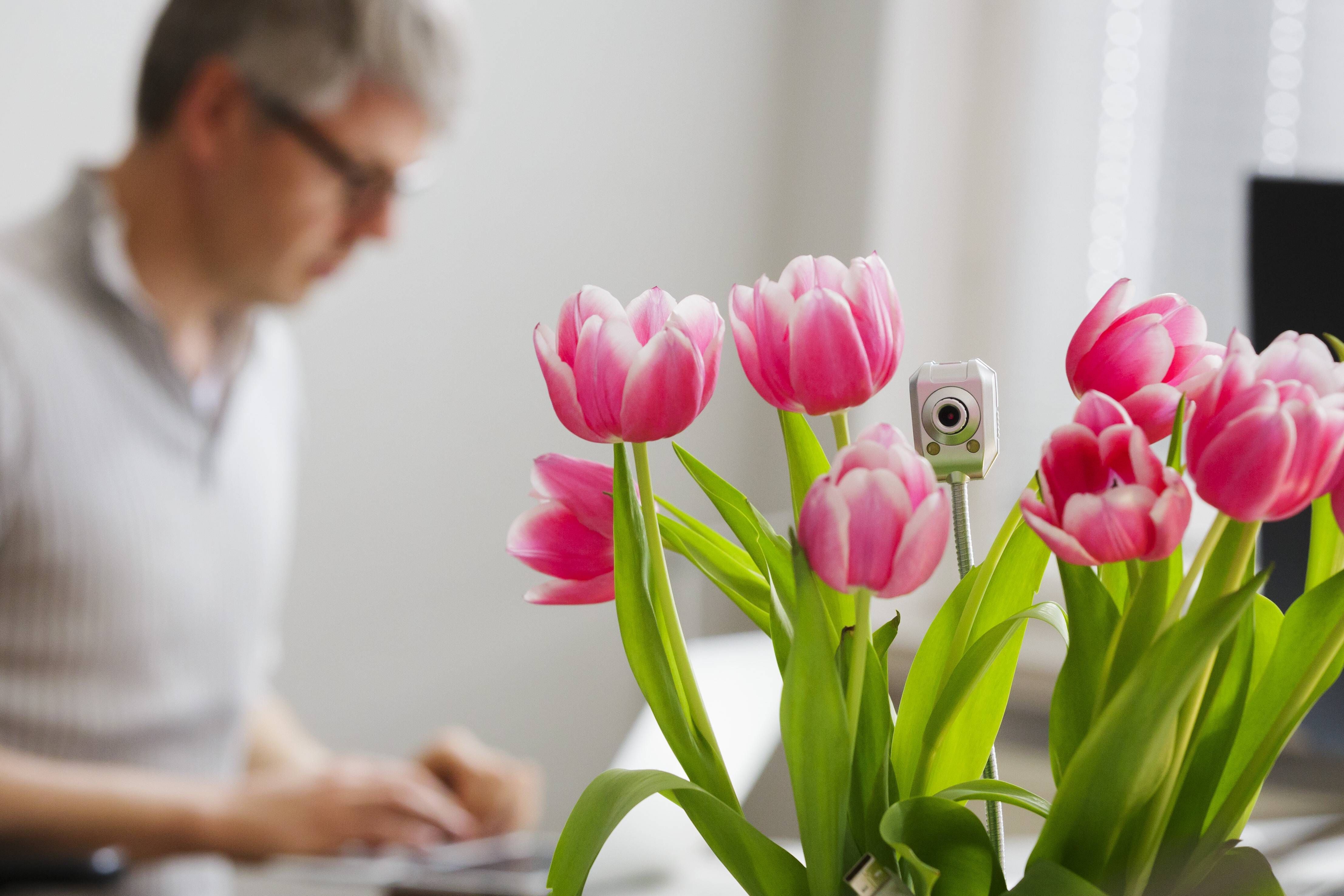 Keine gute Geschenkidee: Spionagekameras in Trinkflaschen, Wanduhren oder Blumenbuketts – aus DIESEM Grund