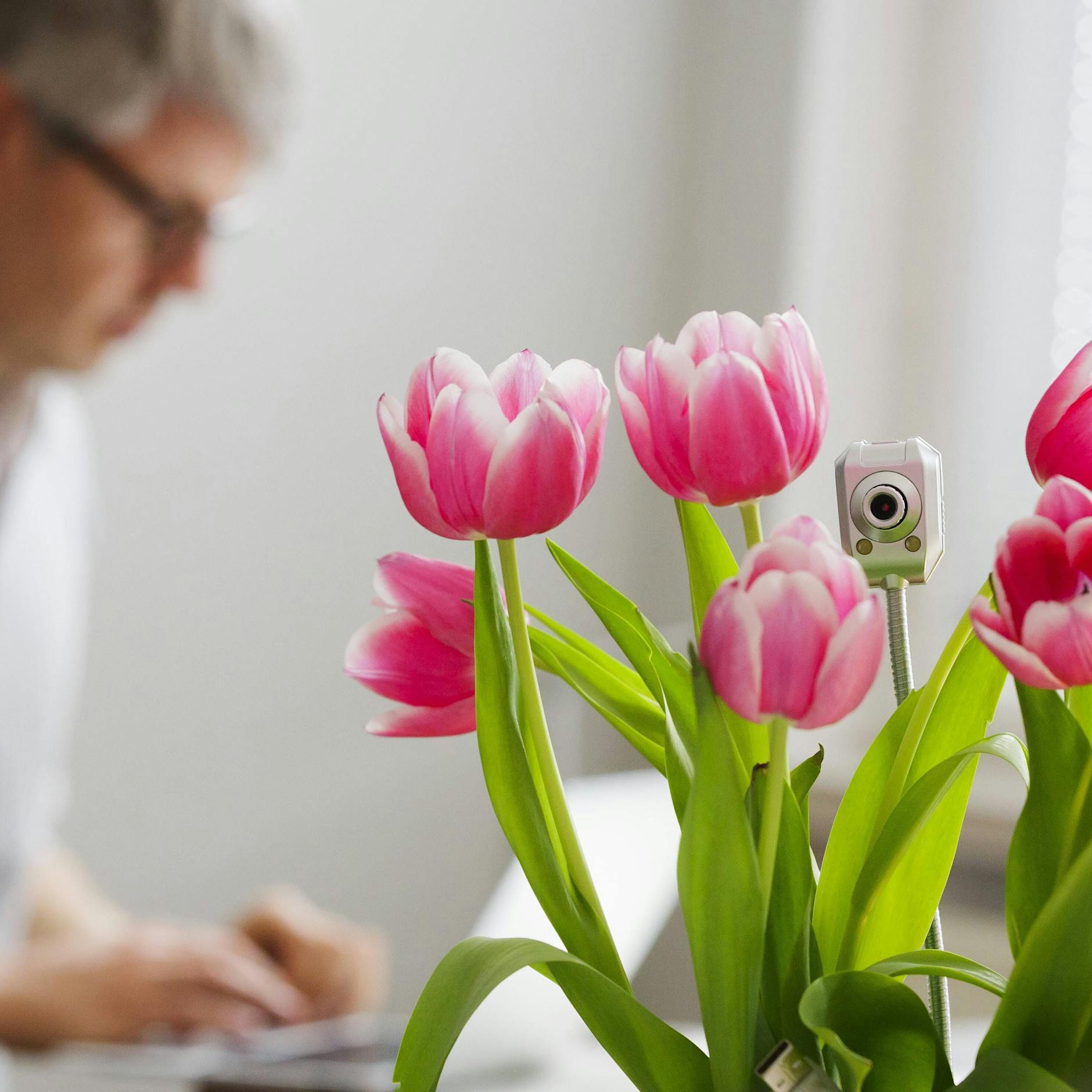 Keine gute Geschenkidee: Spionagekameras in Trinkflaschen, Wanduhren oder Blumenbuketts – aus DIESEM Grund