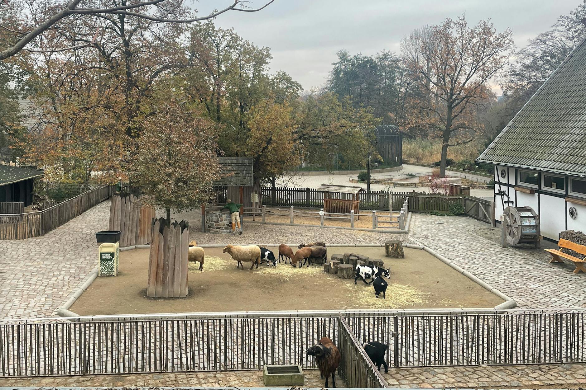 Von einem Weg außerhalb des Zoos sind die Tiere im Streichelzoo zu sehen.