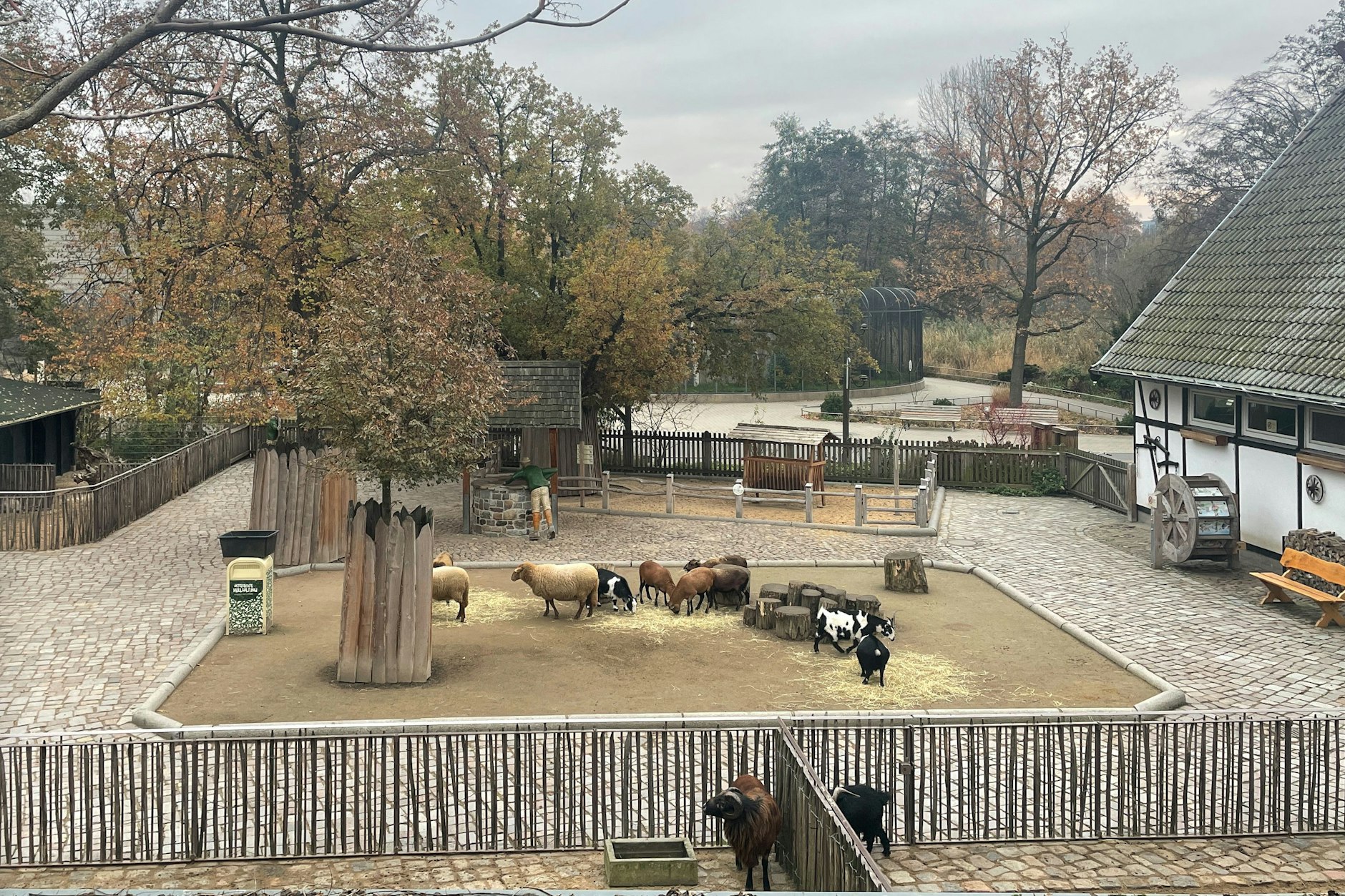 Von einem Weg außerhalb des Zoos sind die Tiere im Streichelzoo zu sehen.