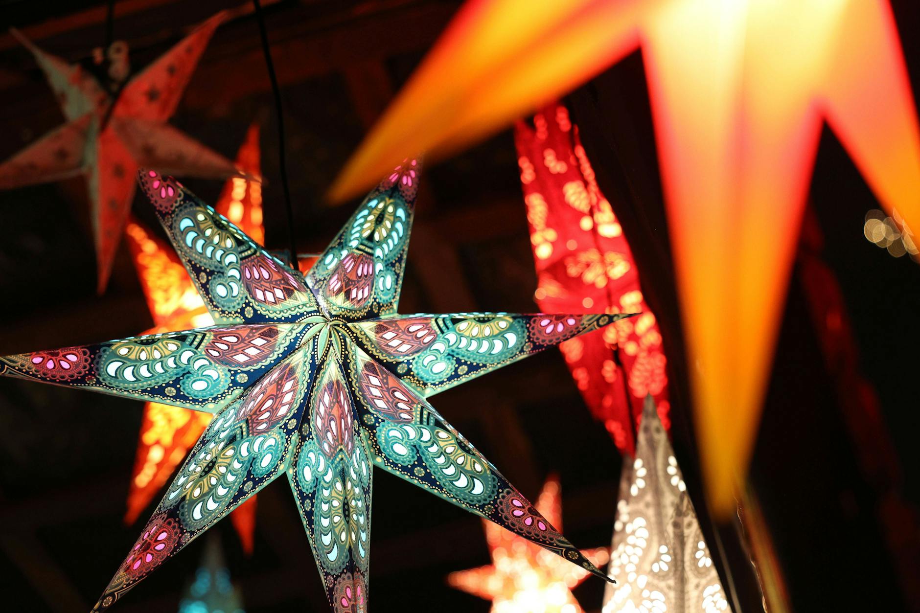 03.12.2022, Berlin - Deutschland. Bunte Weihnachtssterne auf dem Lucia Weihnachtsmarkt in der Kulturbrauerei. *** 03 12 2022, Berlin Germany Colorful poinsettias at Lucia Christmas market in Kulturbrauerei.
