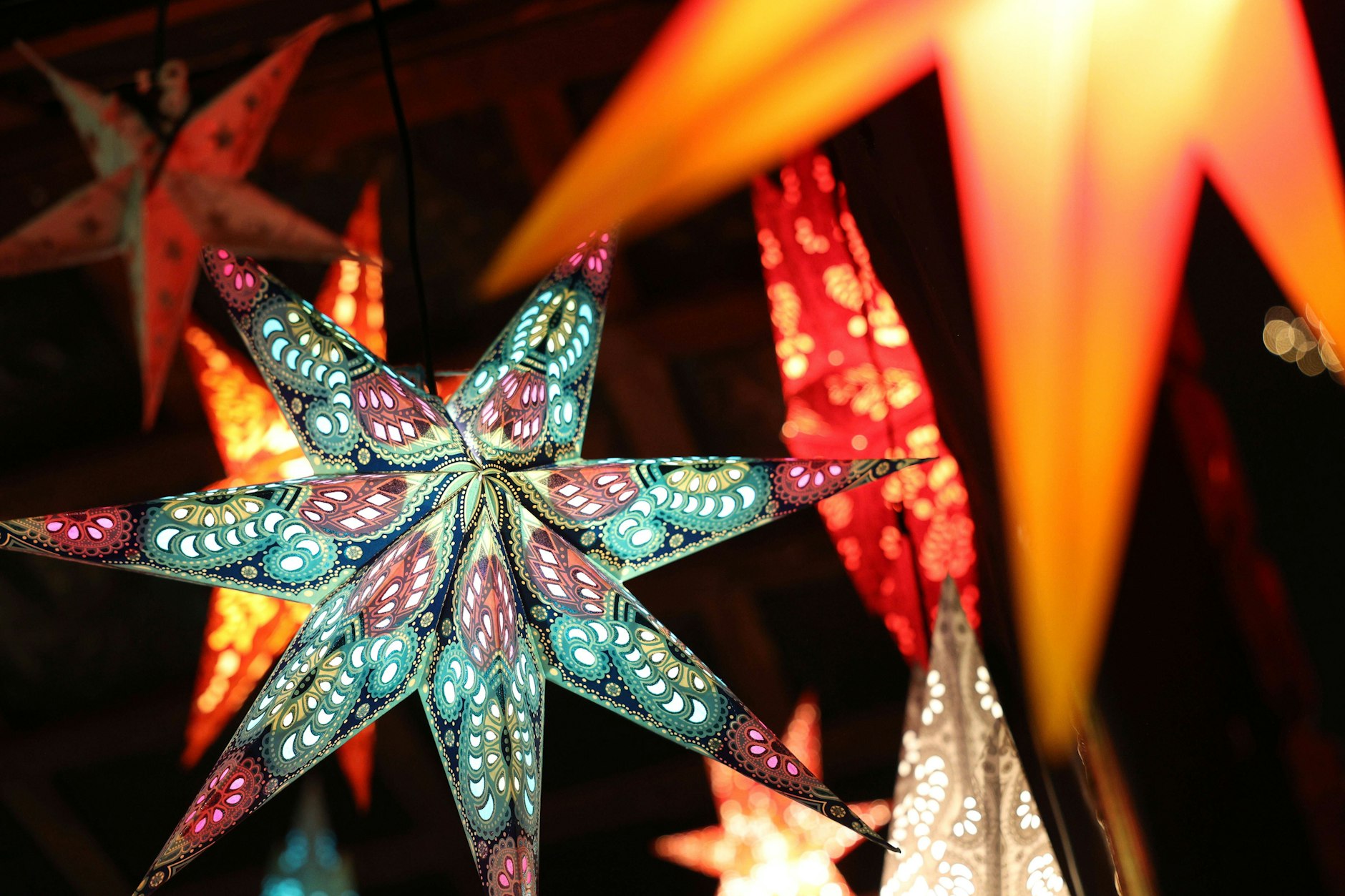03.12.2022, Berlin - Deutschland. Bunte Weihnachtssterne auf dem Lucia Weihnachtsmarkt in der Kulturbrauerei. *** 03 12 2022, Berlin Germany Colorful poinsettias at Lucia Christmas market in Kulturbrauerei.