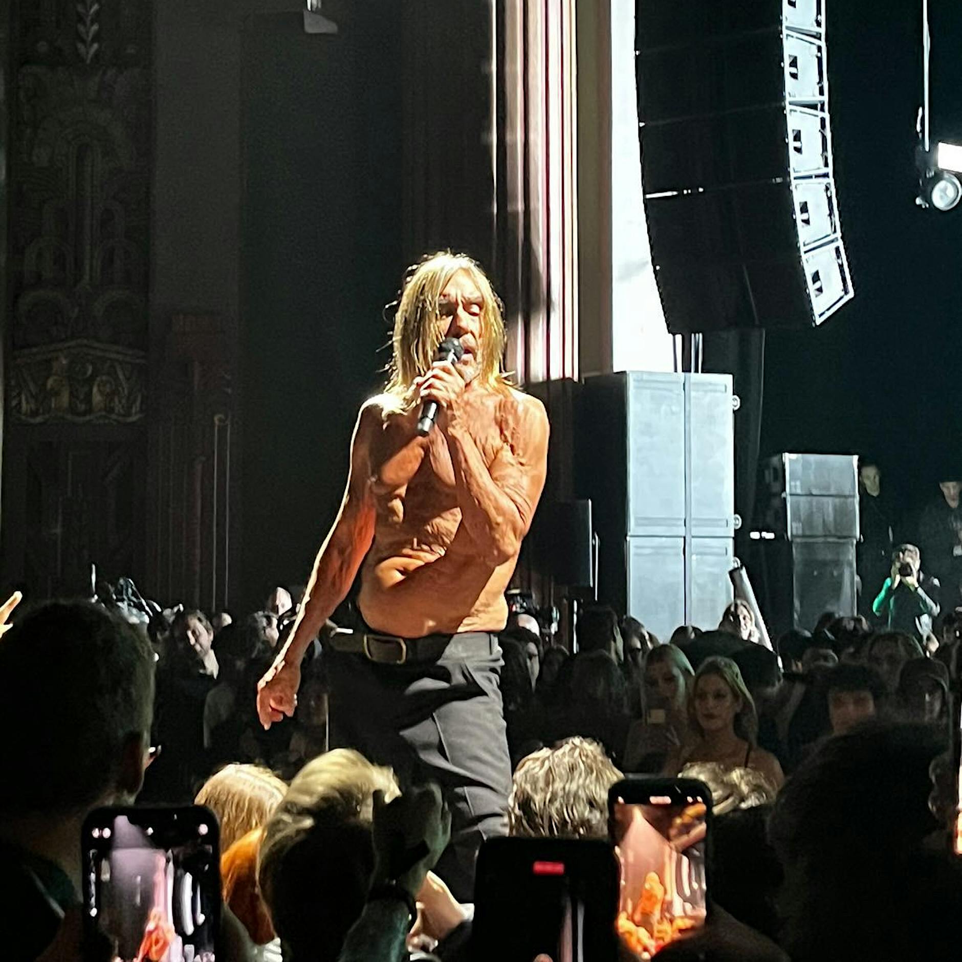 Geregelte Entgleisung bei Celine: Iggy Pop hat sich wieder ausgezogen