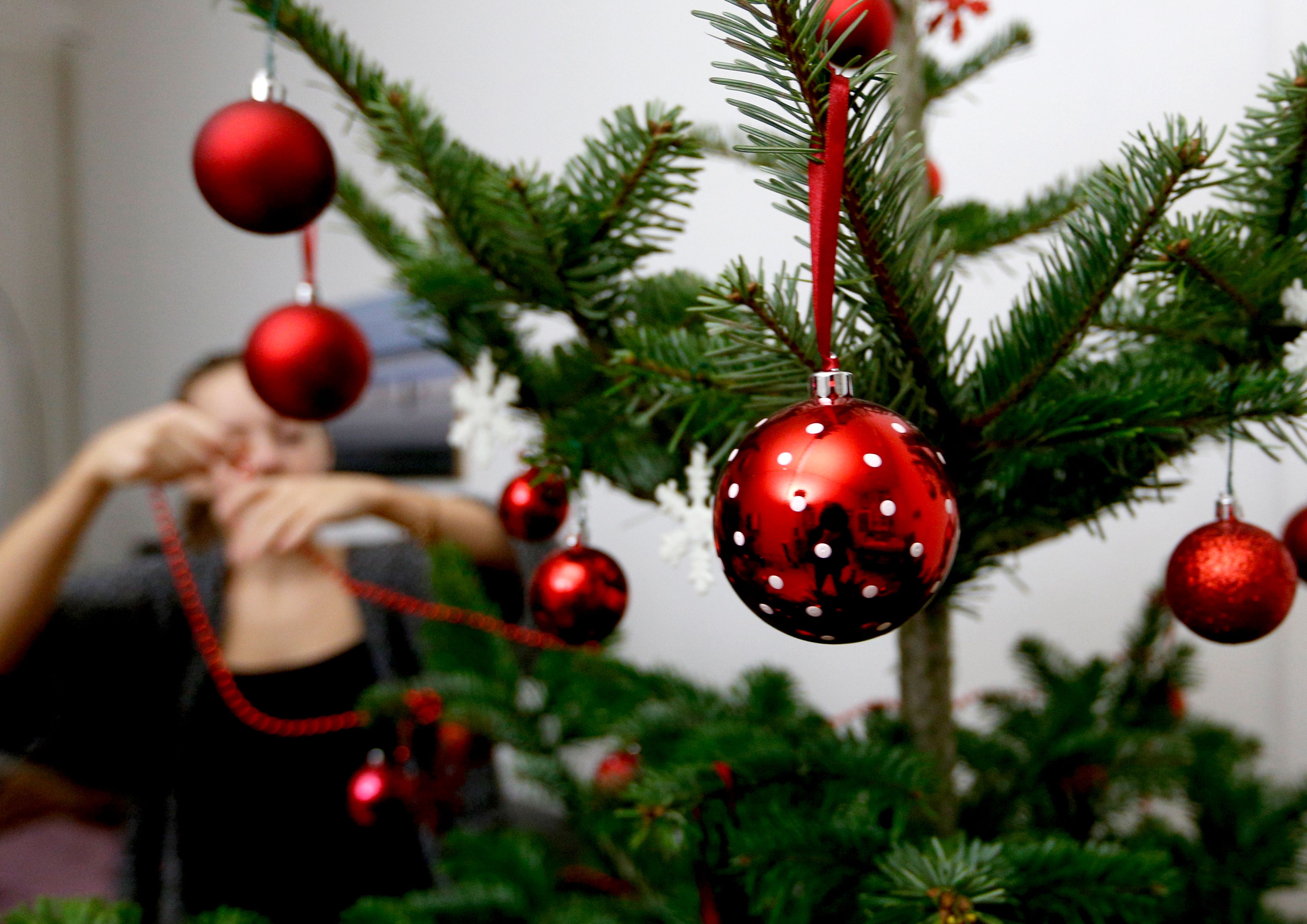 Image - Wie bleibt der Weihnachtsbaum lange frisch? Mit diesem Trick hält er wochenlang seine Nadeln