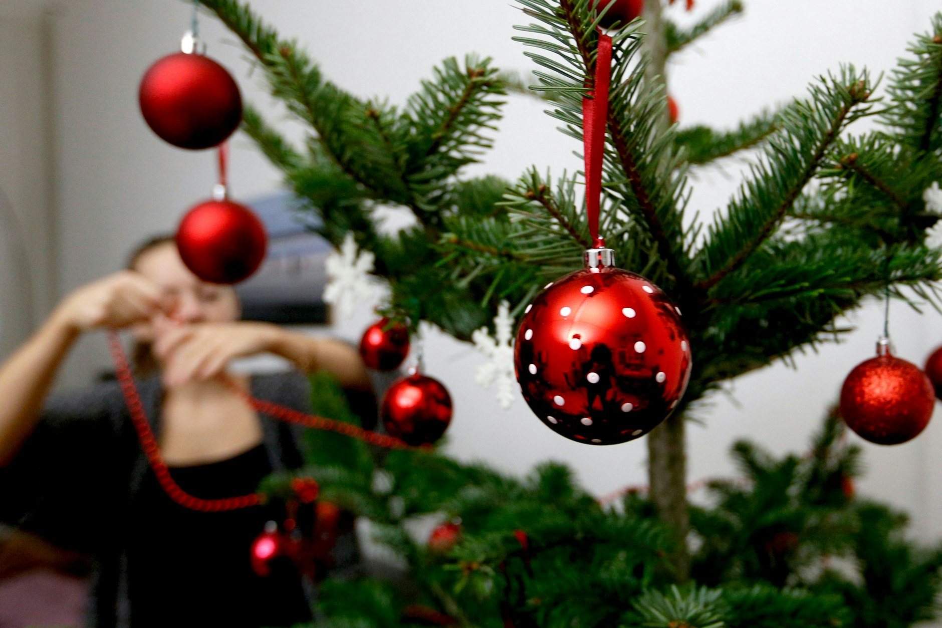 Den Weihnachtsbaum schon Wochen vor dem Heiligen Abend aufstellen? Bleibt er dann überhaupt frisch?