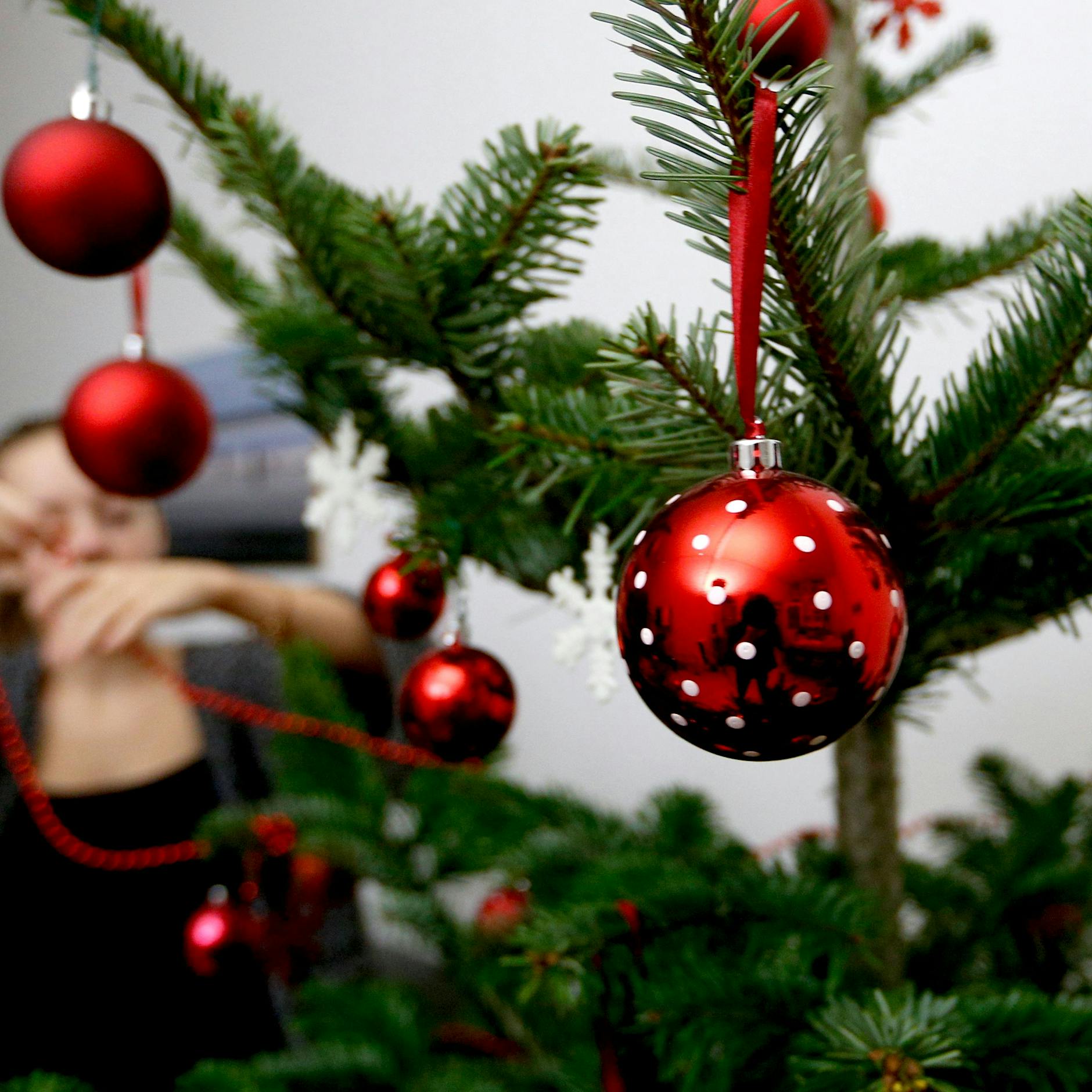 Wie bleibt der Weihnachtsbaum lange frisch? Mit diesem Trick hält er wochenlang seine Nadeln