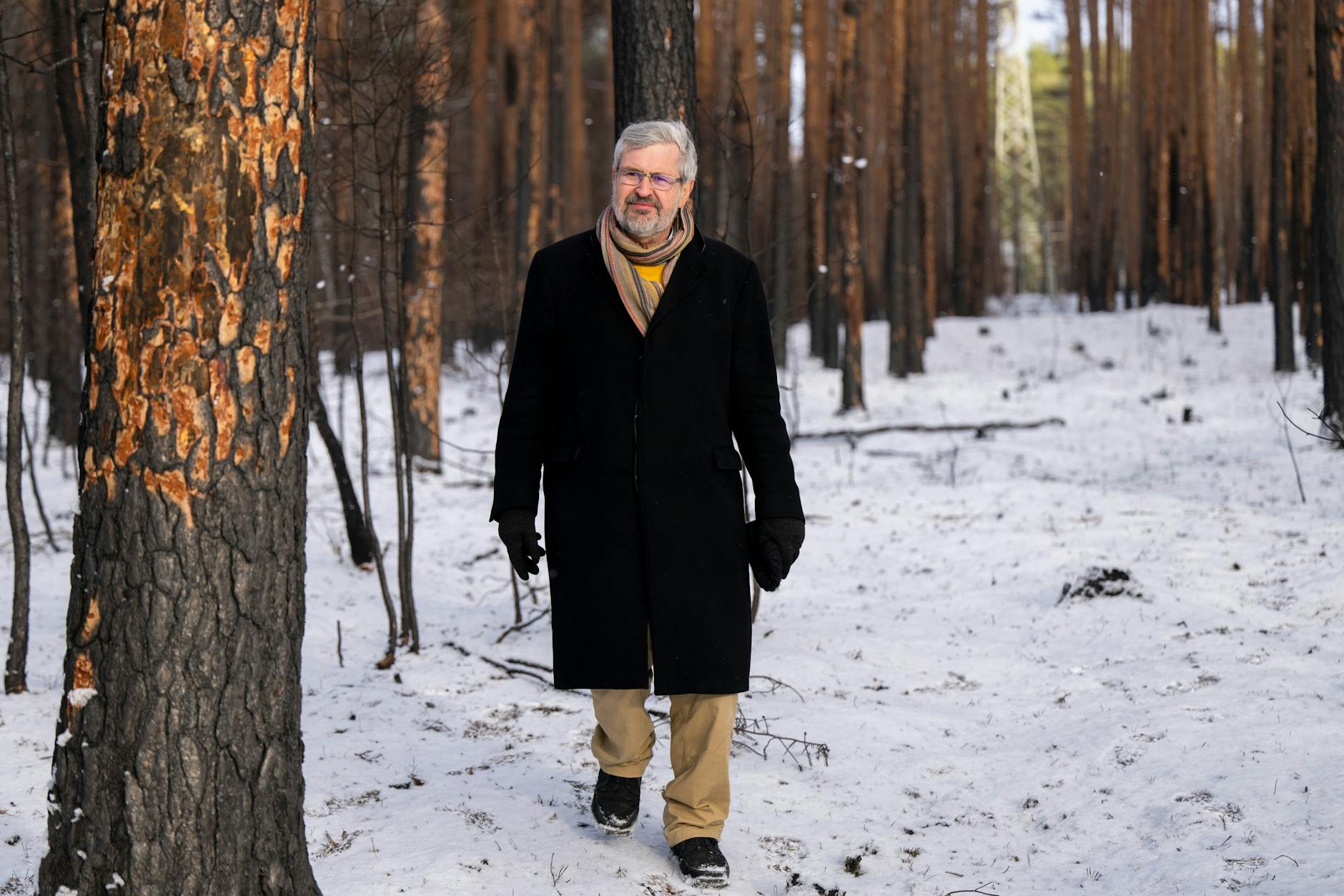Minister Axel Vogel (Grüne) am Montag in einem Wald bei Beelitz. Dort wurden bei einem Waldbrand im Sommer mehr als 240 Hektar Bäume vernichtet oder schwer geschädigt.