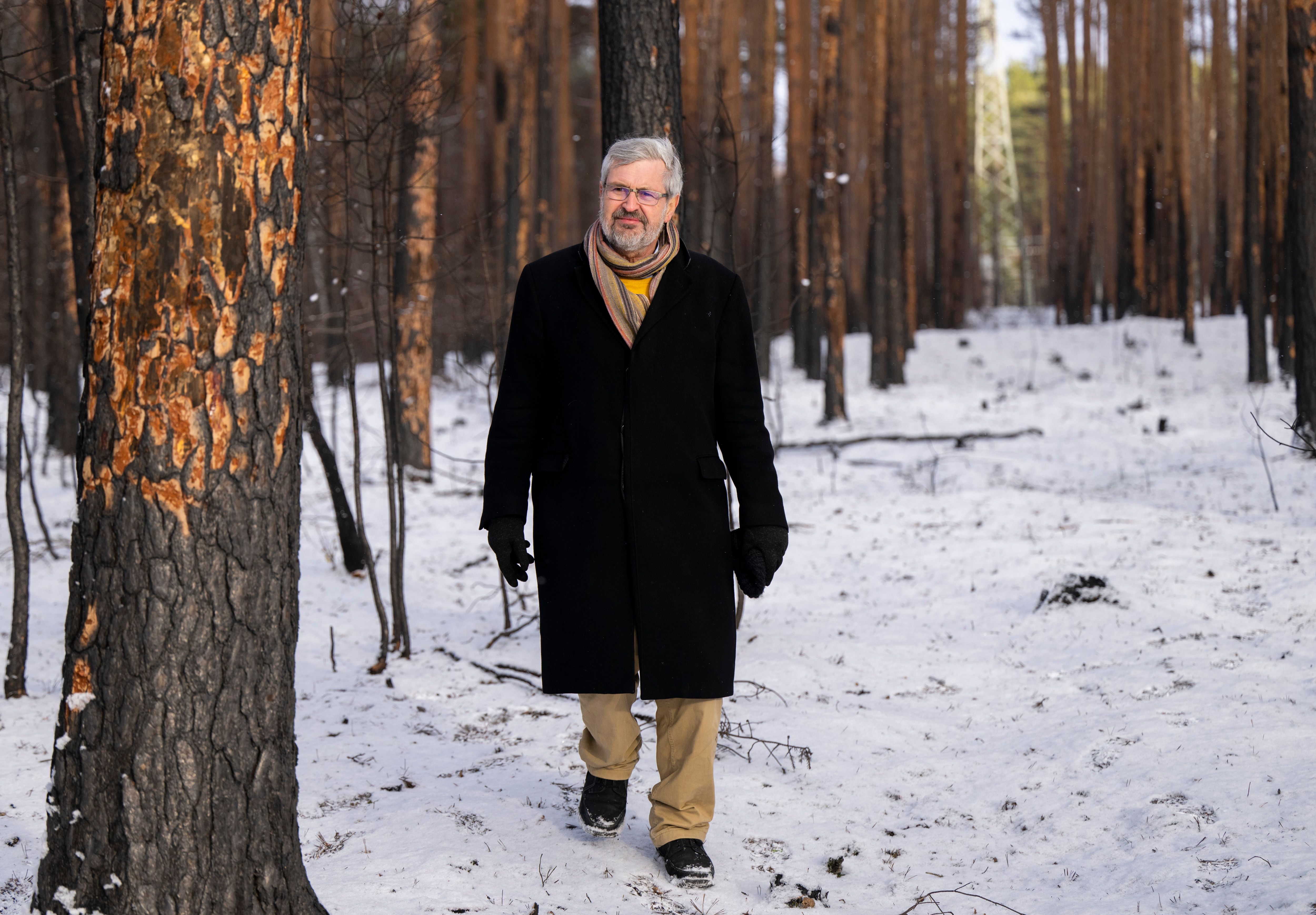 Image - Sorge um Brandenburgs Wälder: So schlimm setzt die Klimakrise den Bäumen zu