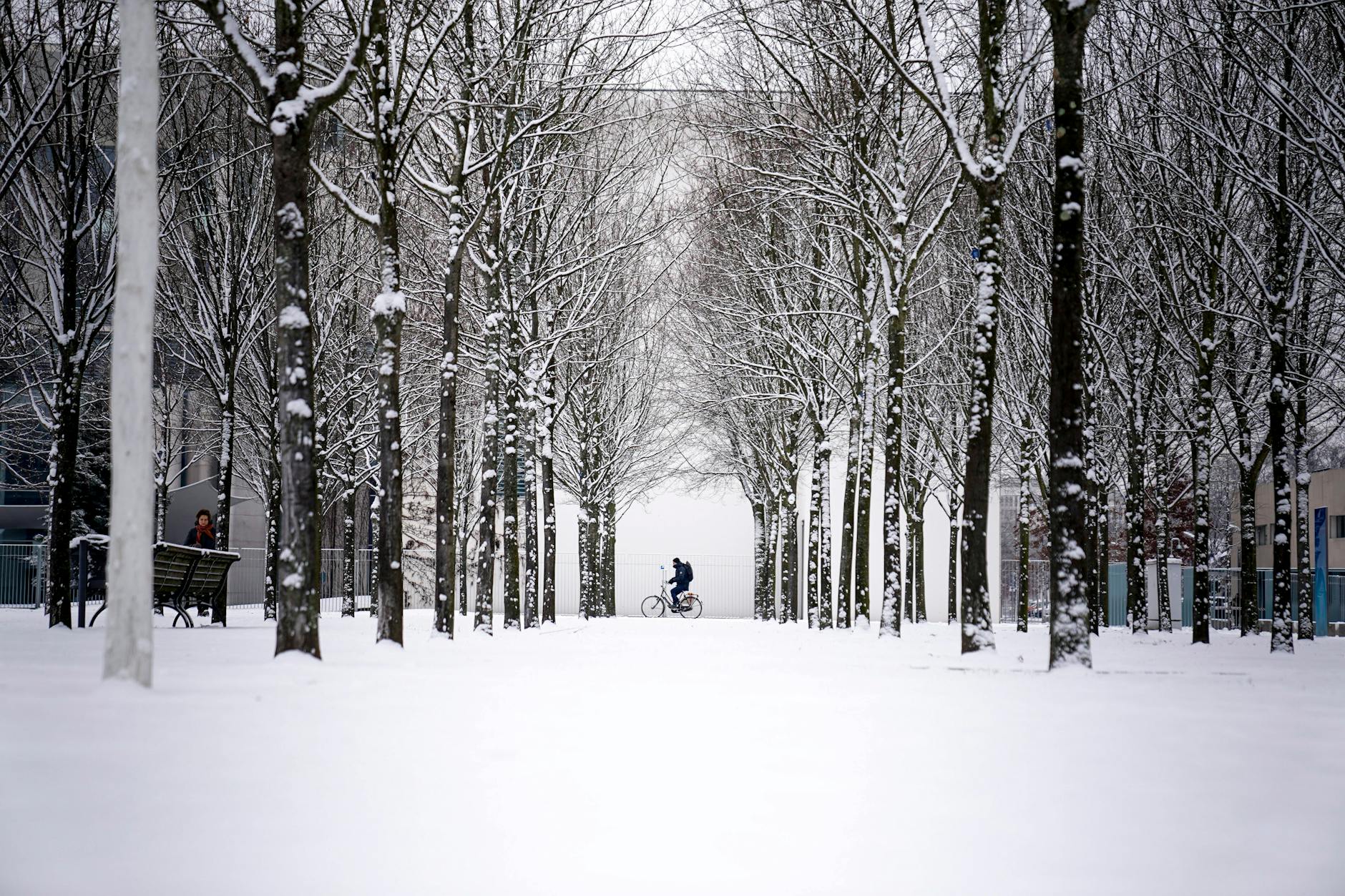 Wird Berlin im Winter 2022 zum Winterwunderland? So stehen die Chancen.
