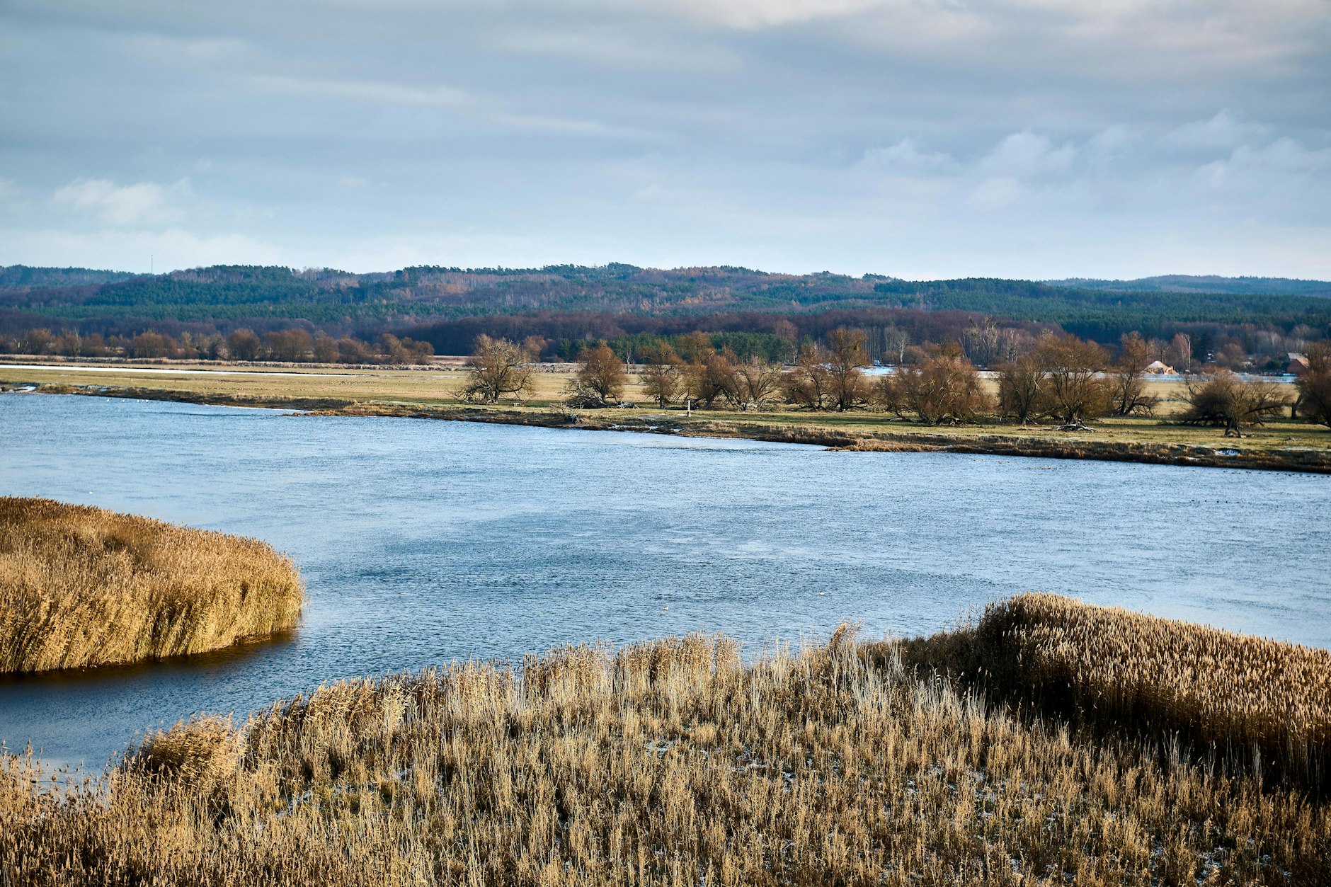 Ein Blick auf die polnische Seite der Oder. Dort kam es am Montag zu einer Schiffshavarie.
