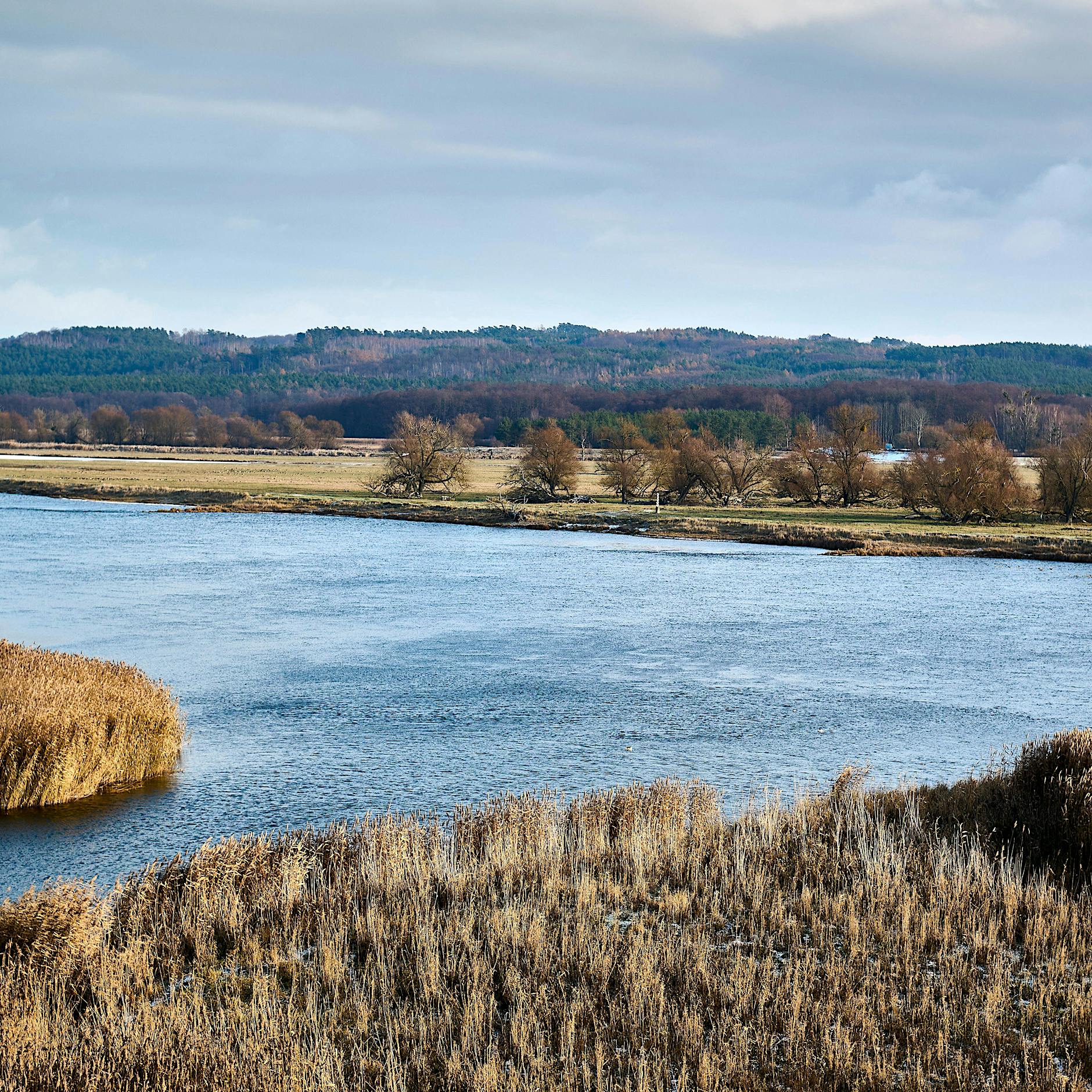 Nächste Katastrophe: 2,5 Tonnen Öl in die Oder geflossen