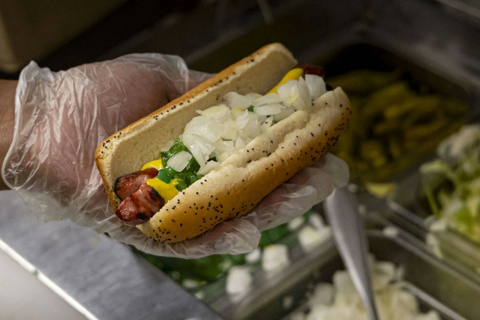 Anne Franks (1929–1945) weltberühmtes Tagebuch zeichnet zwei Jahre ihres Lebens von 1942 bis 1944 nach, als sich ihre Familie in Amsterdam vor den deutschen Nazis versteckt hielt.