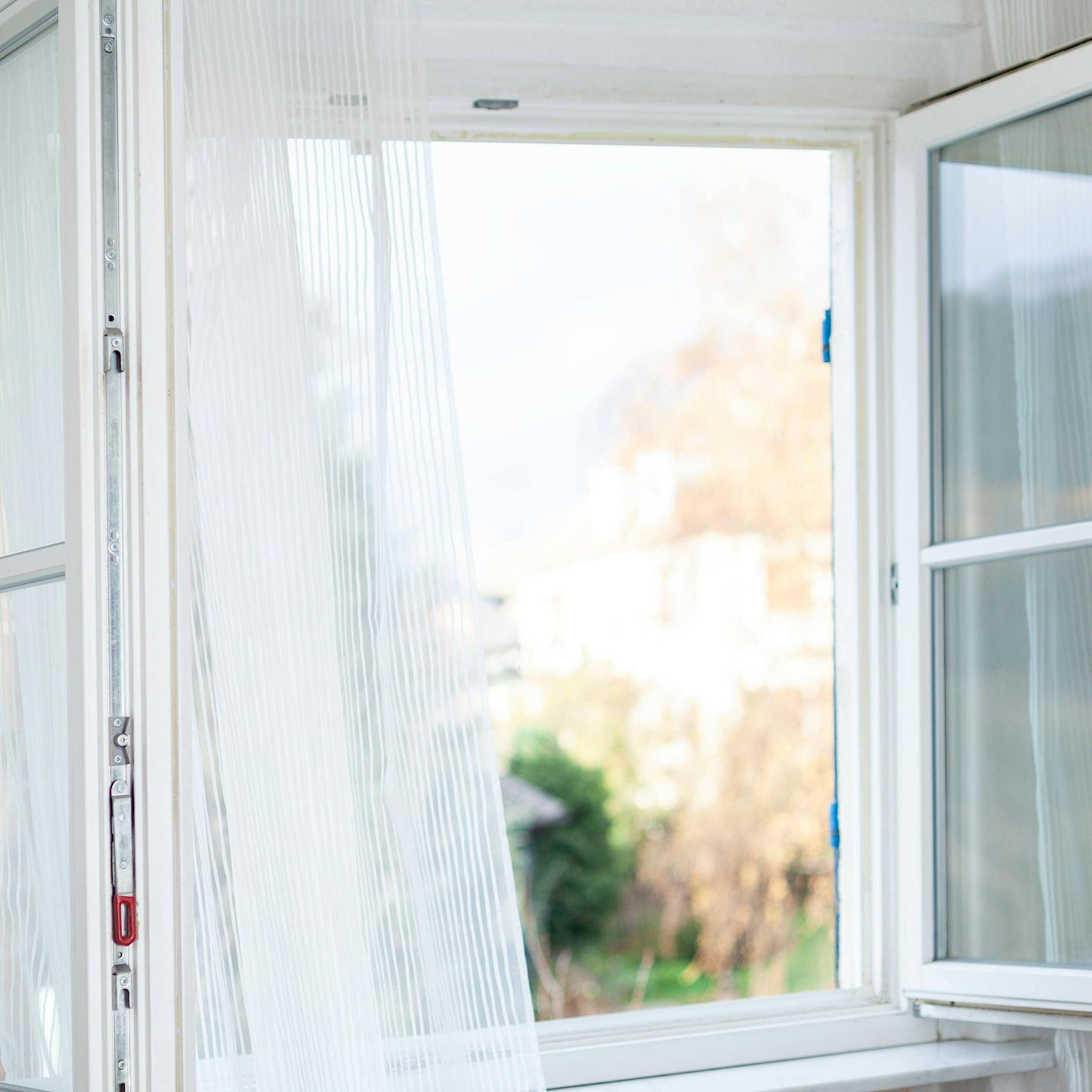 Schimmel in der Wohnung trotz Heizung? Energieberater gibt Tipps