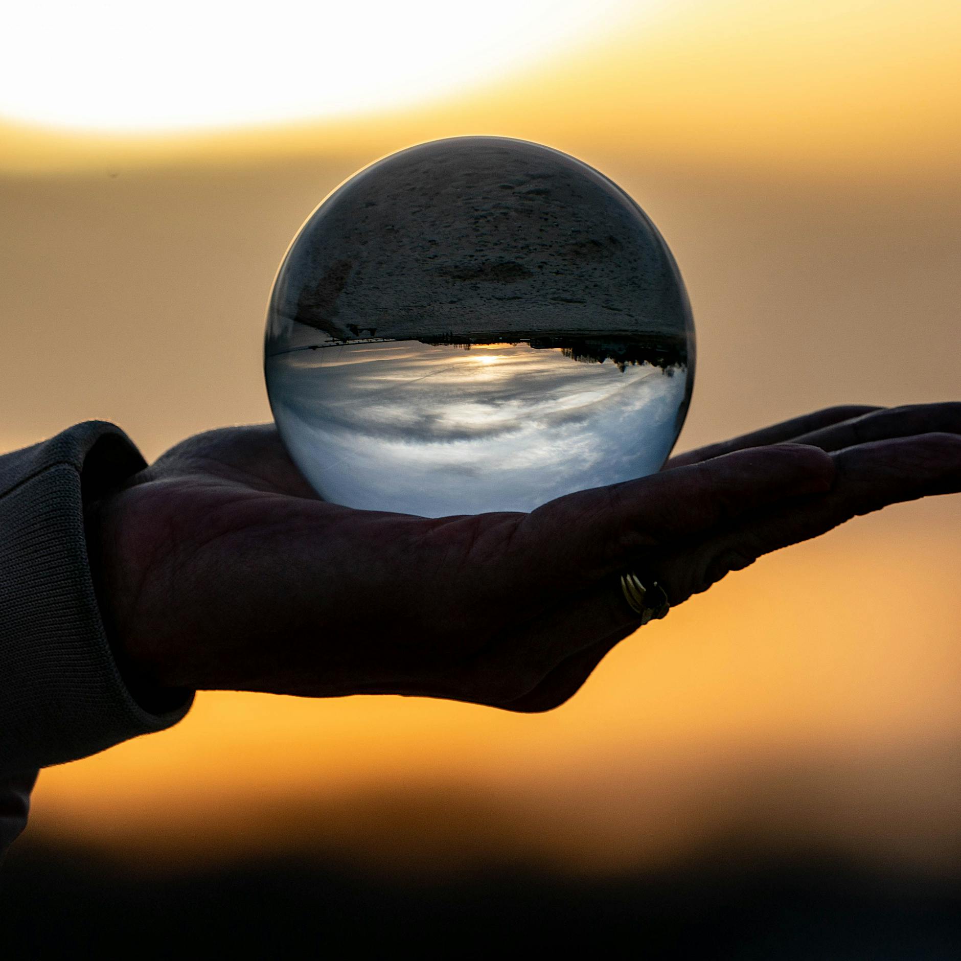 Wahrsager-Prognosen: Aggressive Riesenkaninchen und Zombieattacken