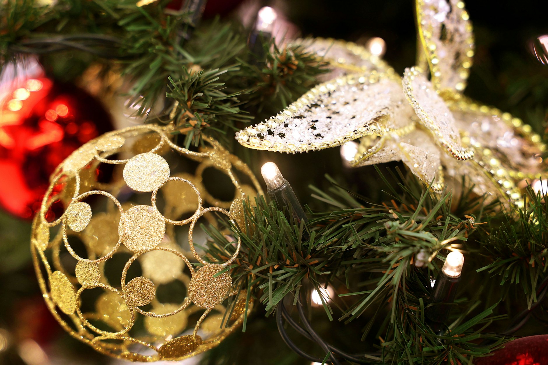 Ein guter Anfang: weihnachtlich geschmückte Tanne in Berlin