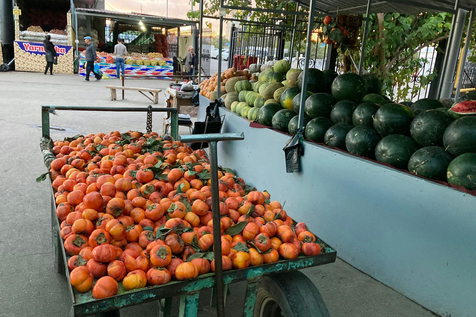 Auf dem Basar haben Sie die Wahl zwischen frischen Kakis und den berühmten usbekischen Wassermelonen.