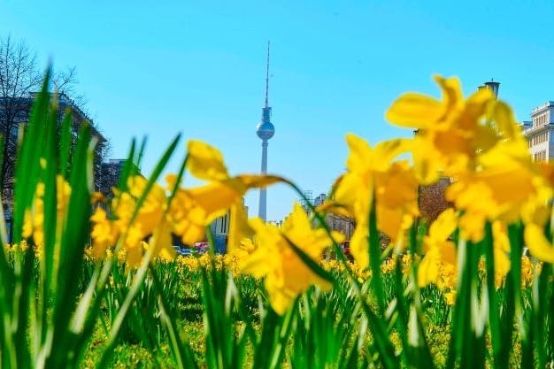 Winter ade! Im März sorgen <a href="https://www.visitberlin.de/de/fruehling-berlin"><strong>Frühlingsgefühle </strong></a>für reichlich gute Laune. Wir freuen uns auf erste warme Sonnenstrahlen, Spaziergänge und viele spannende Events. Hier kommen unsere Tipps! 