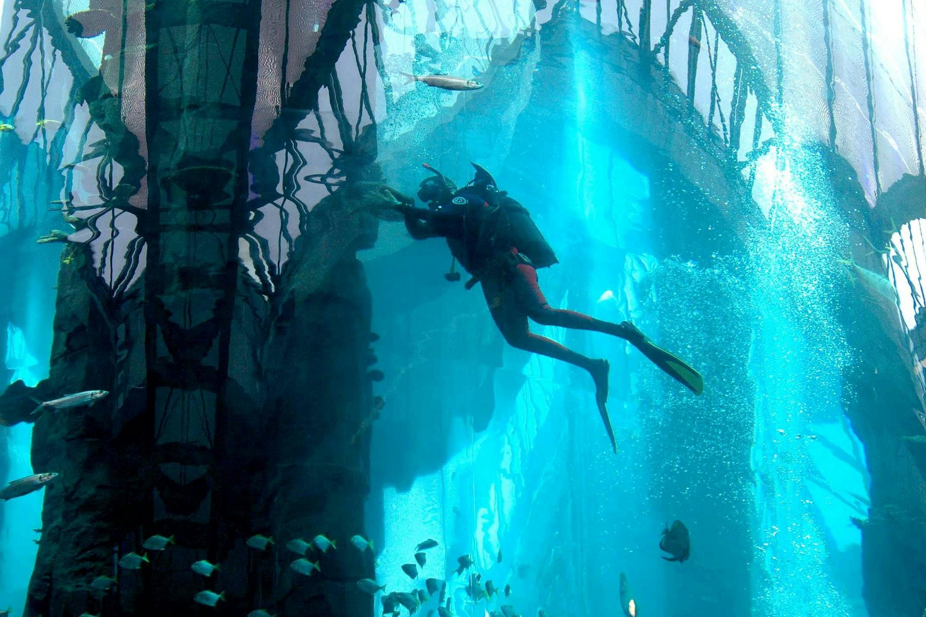 Ein Taucher reinigt das Aquarium im Hotel.