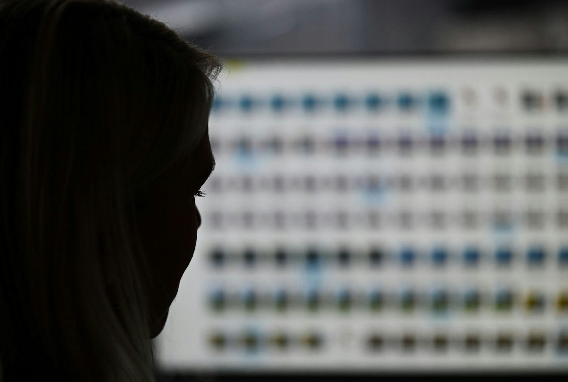 ARCHIV - Das BKA ermittelt im Auftrag der Generalstaatsanwaltschaft in Frankfurt und der Zentralstelle zur Bekämpfung der Internetkriminalität (Symbolbild).  