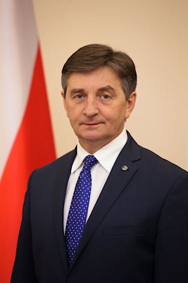Infobox image