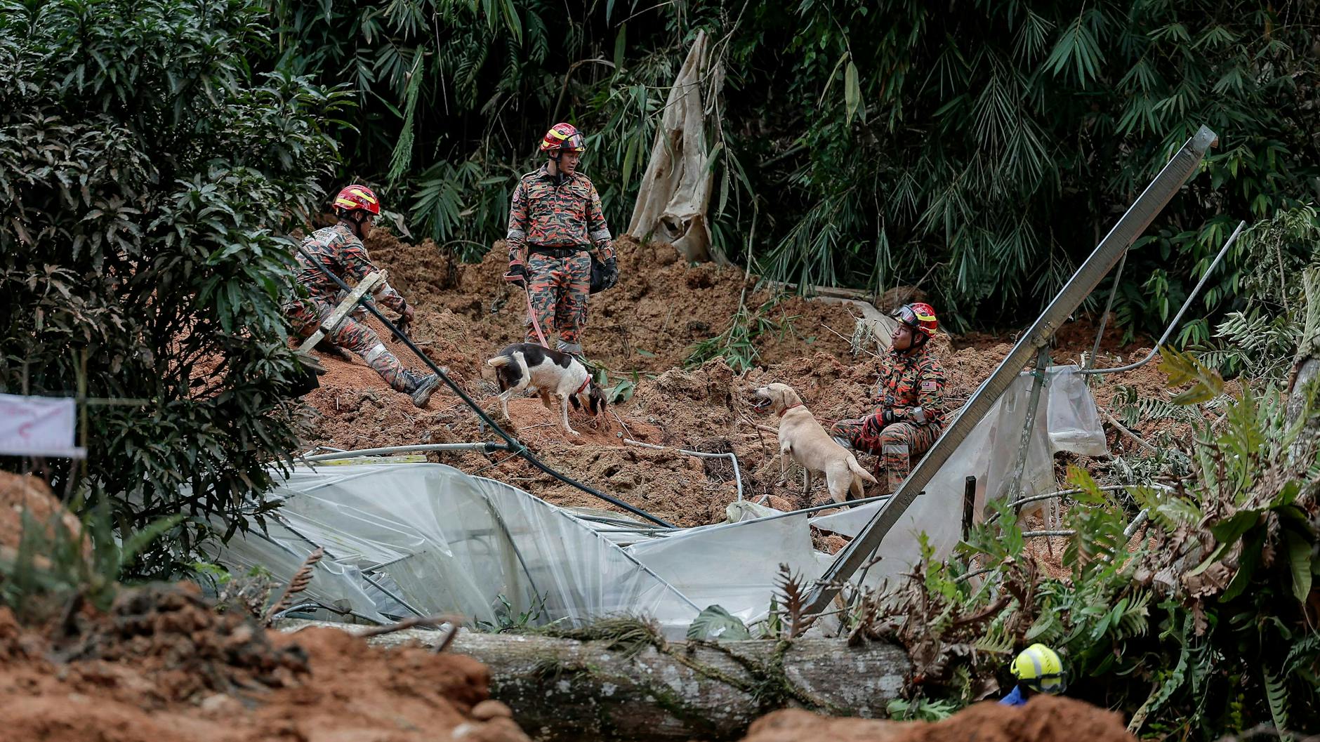 Mitglieder des malaysischen Rettungsteams setzen Suchhunde ein.