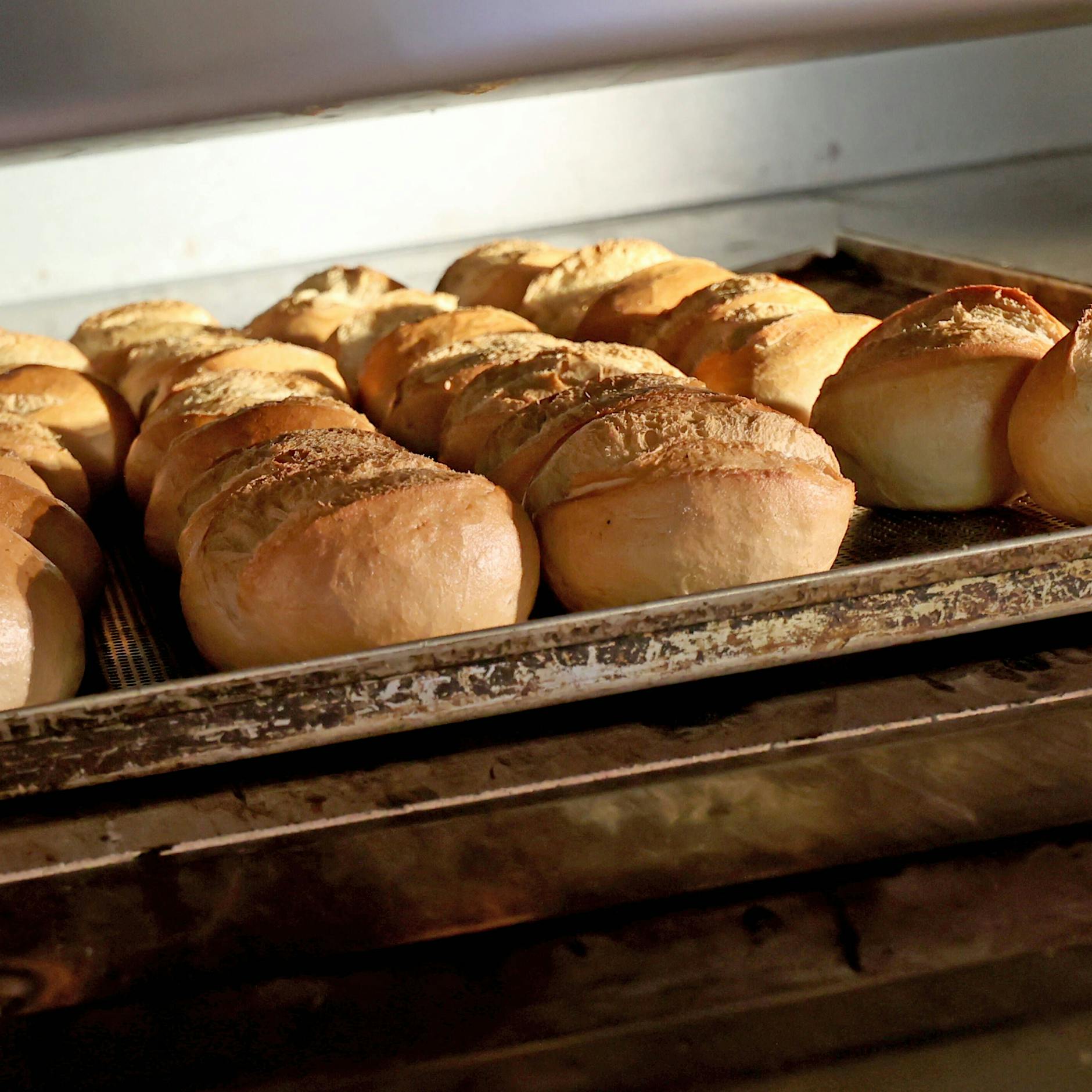Rezept für frische Berliner Schrippen: Leckere Brötchen ganz einfach selbst gemacht
