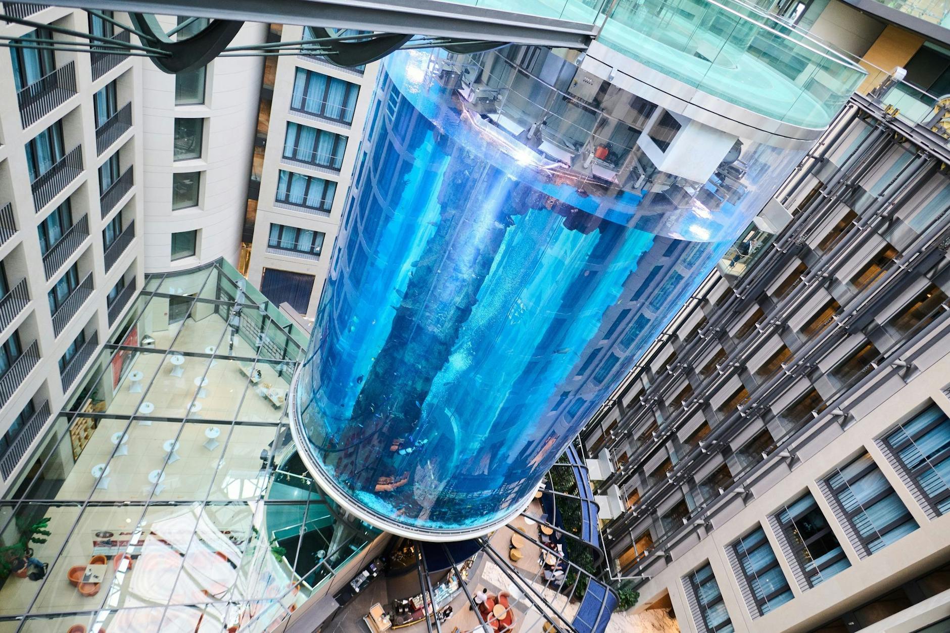 Juni 2022: Der Aquadom im Sea Life Berlin eröffnet nach Sanierungsarbeiten wieder.