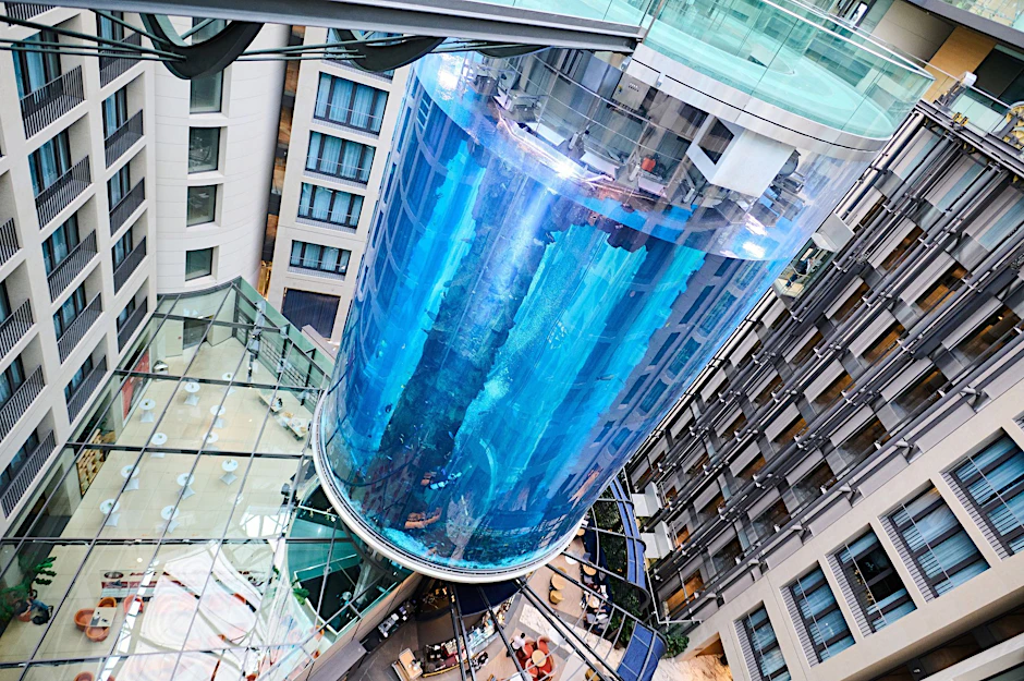 Juni 2022: Der Aquadom im&nbsp;Sea Life Berlin eröffnet nach Sanierungsarbeiten wieder.