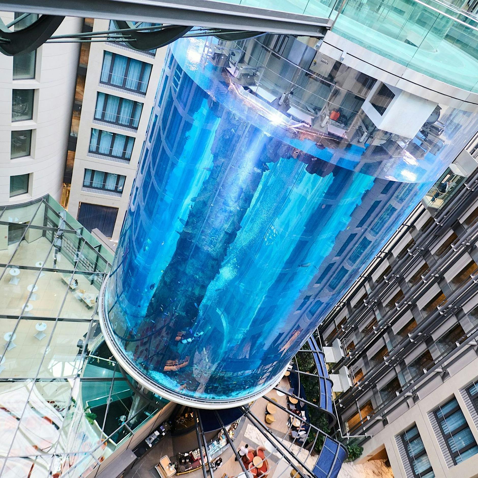 Wissenschaftler über Aquadom: „Wir gingen davon aus, dass sie sicher sind“