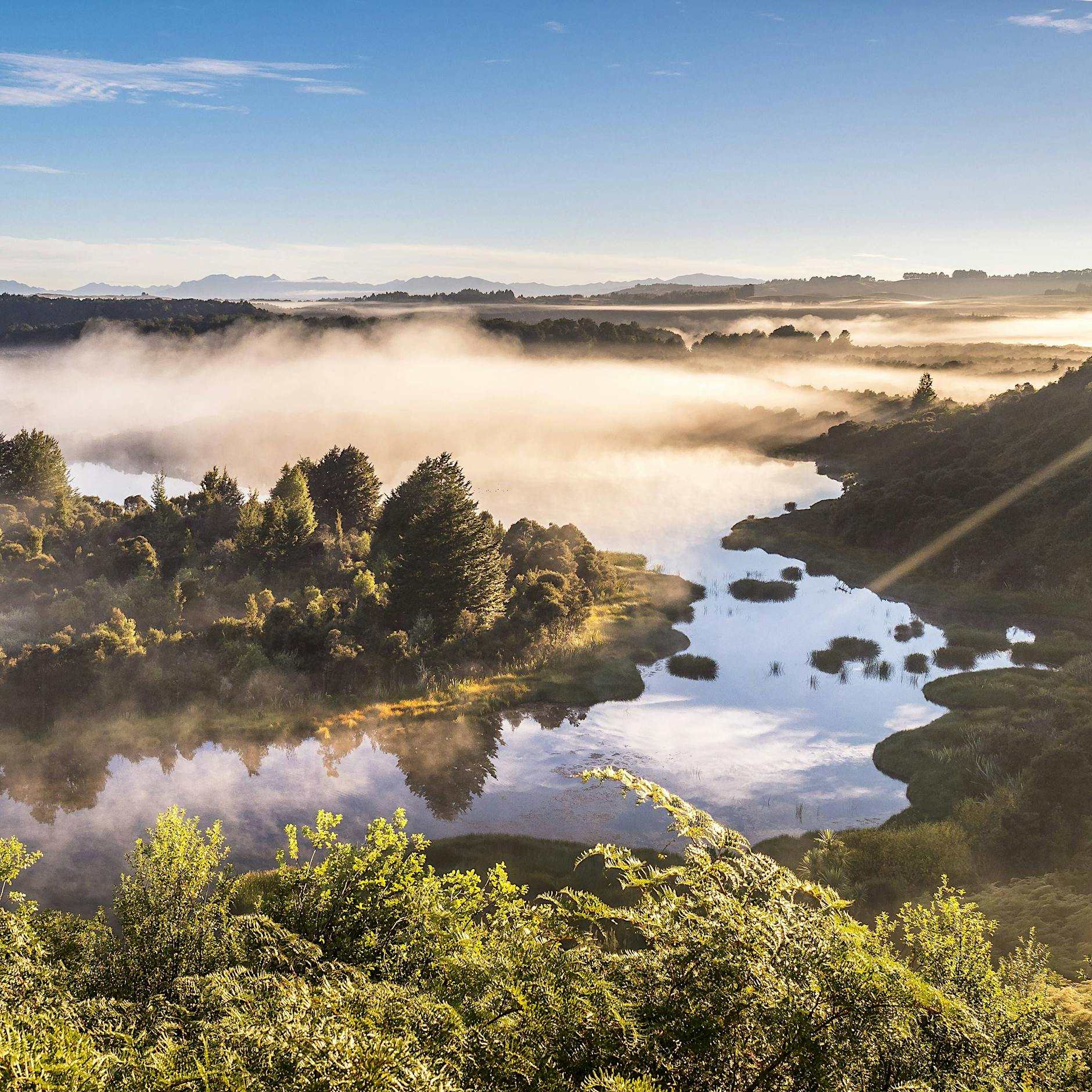 Neuseeland oder: Der Überlebenskampf von Mittelerde